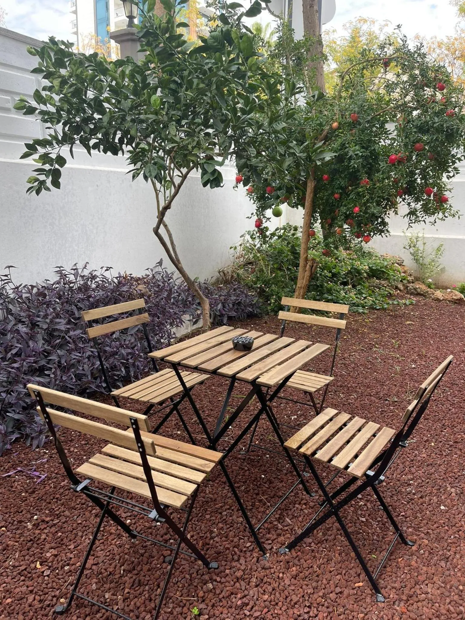 Garden in ABC Apart Hotel