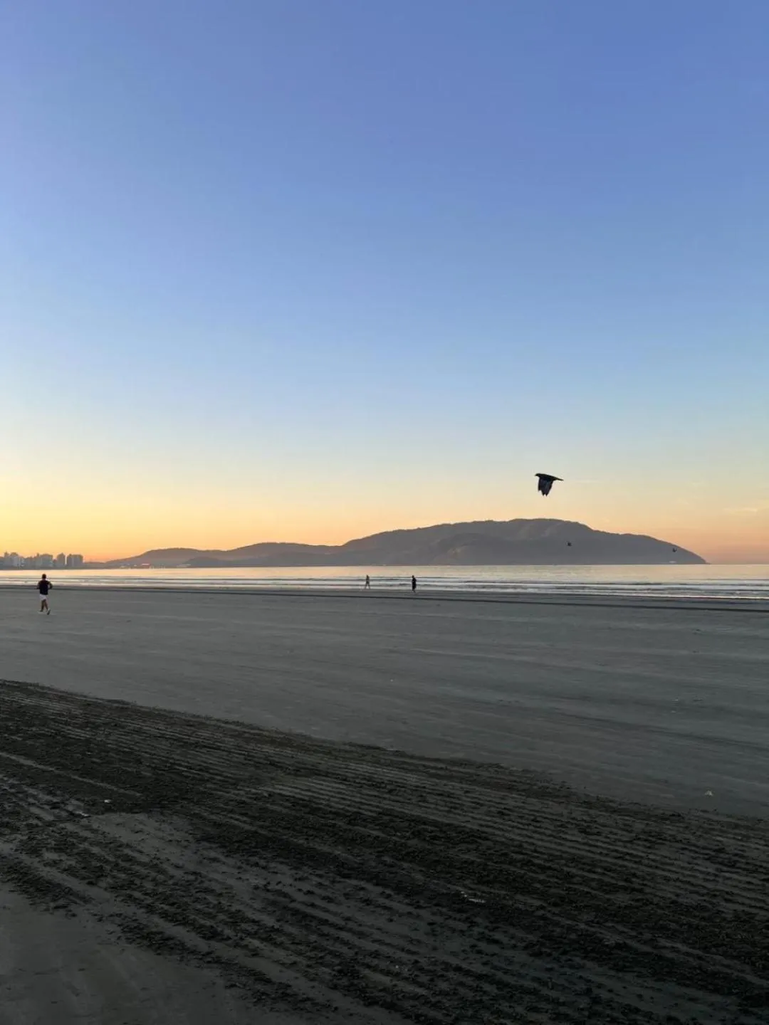 Beach in Cosmopolitan Praia Flat