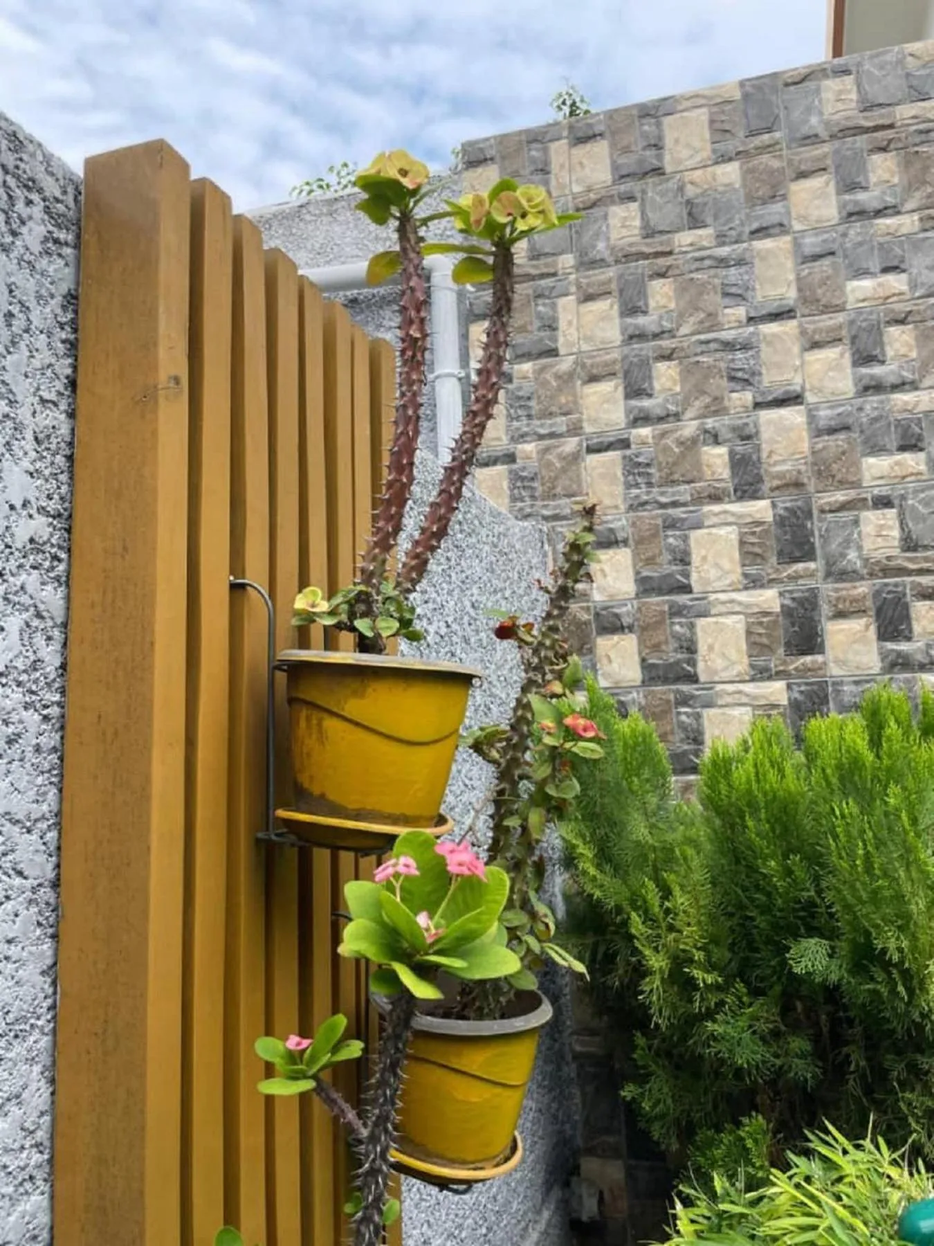 Garden in Hôtel Guest House Quatre Saisons