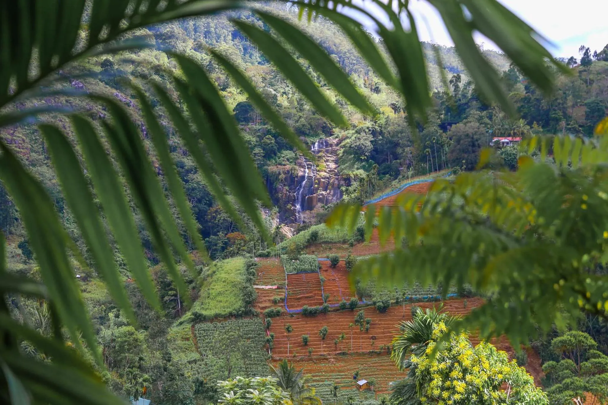 Natural landscape in Ella Bamboo Cabana
