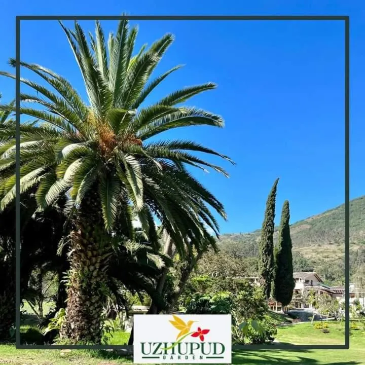 Natural landscape in Uzhupud Garden Hotel & Lodge