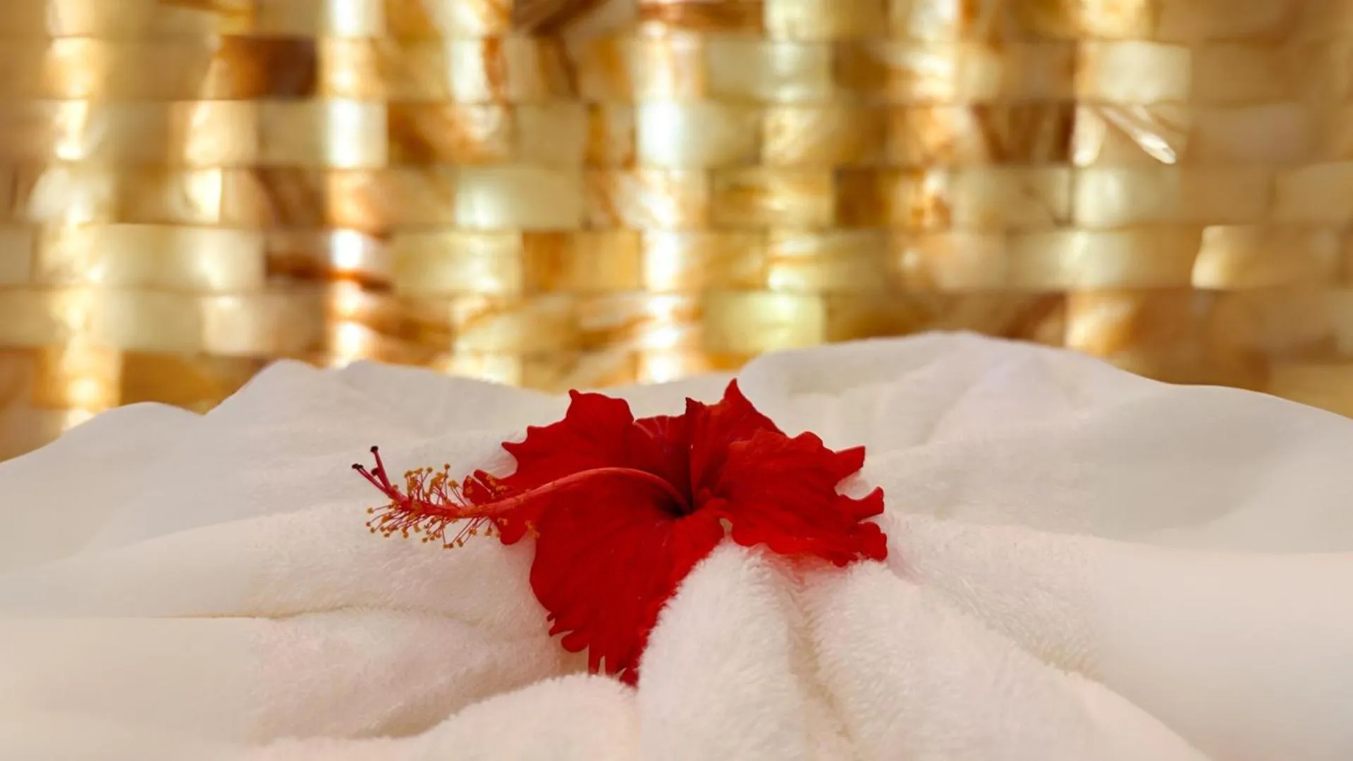 Spa and wellness centre/facilities, Bed in The RIYAZ Lavanya Langkawi