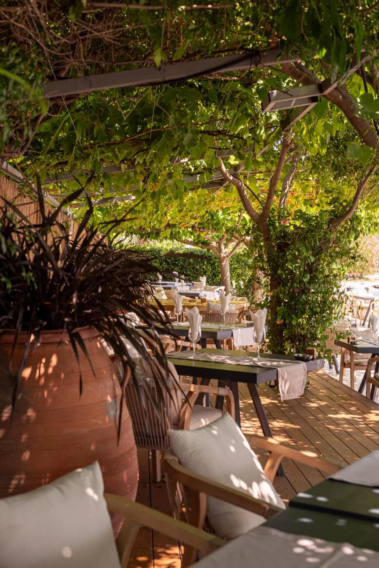 Restaurant/places to eat in Corissia Beach hotel