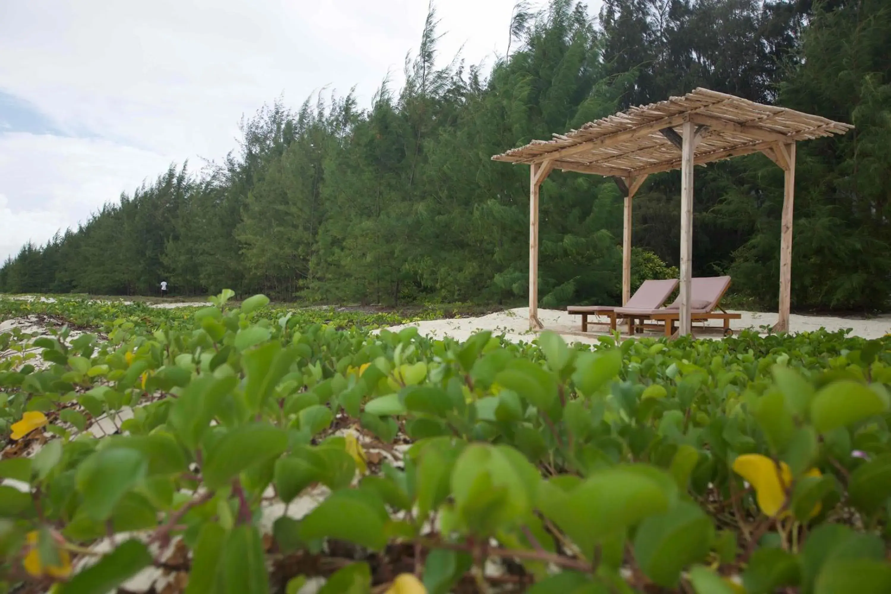 Deluxe Double Room with Sea View - single occupancy in Kivuli Beach Resort Paje Deluxe Double Room with Sea View - single occupancy in Kivuli Beach Resort Paje