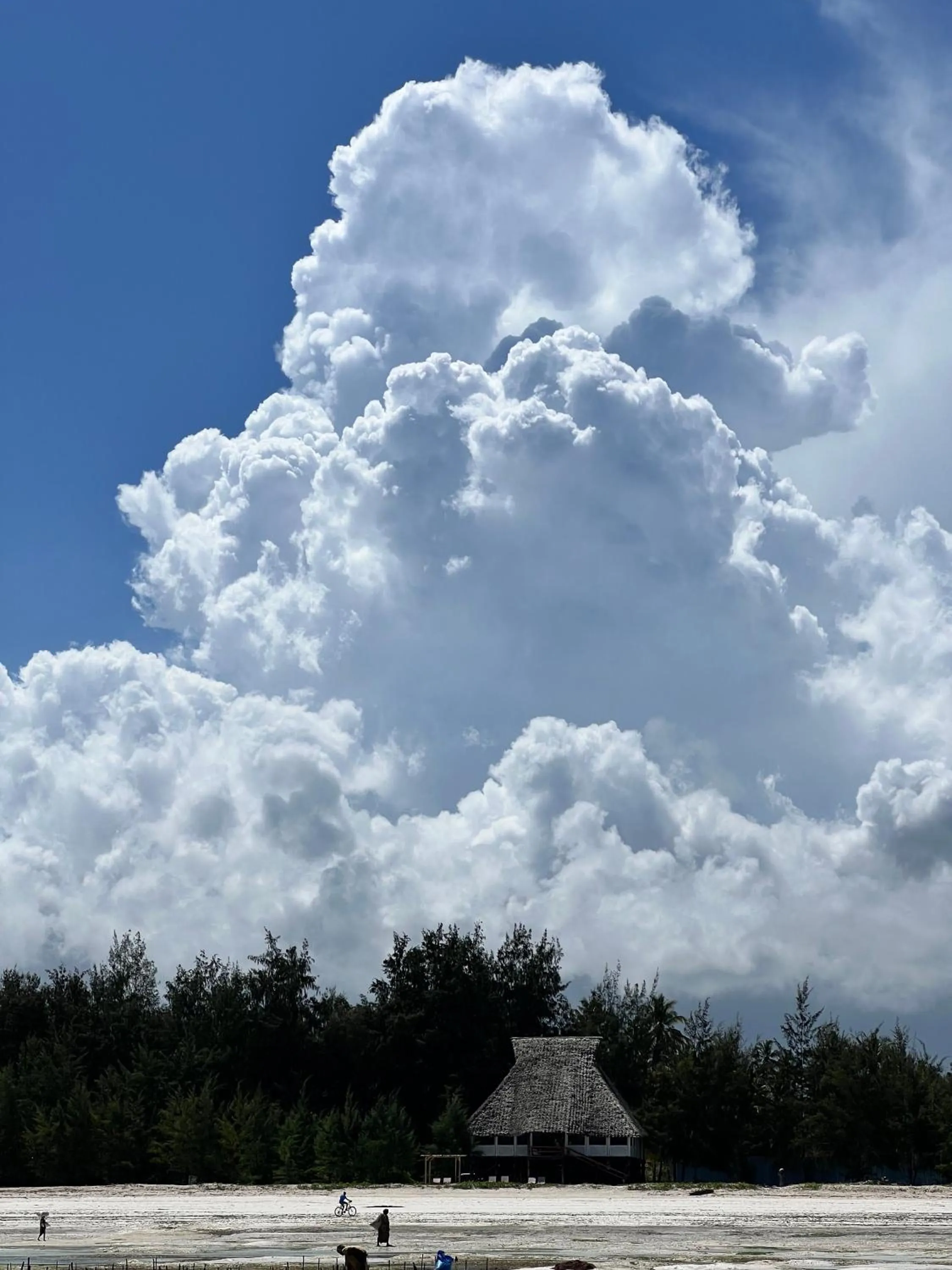 Natural landscape in Kivuli Beach Resort Paje