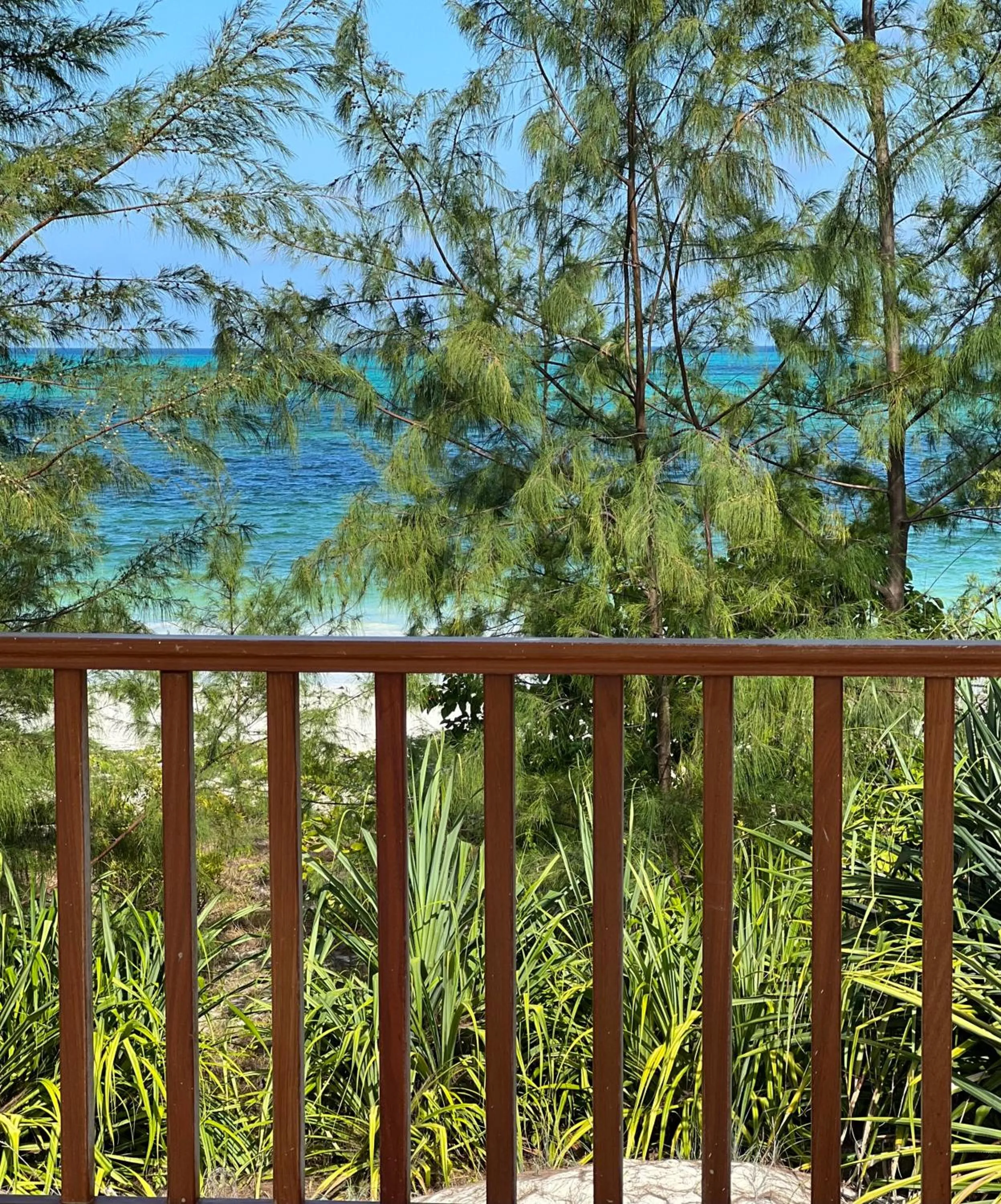 Day in Kivuli Beach Resort Paje