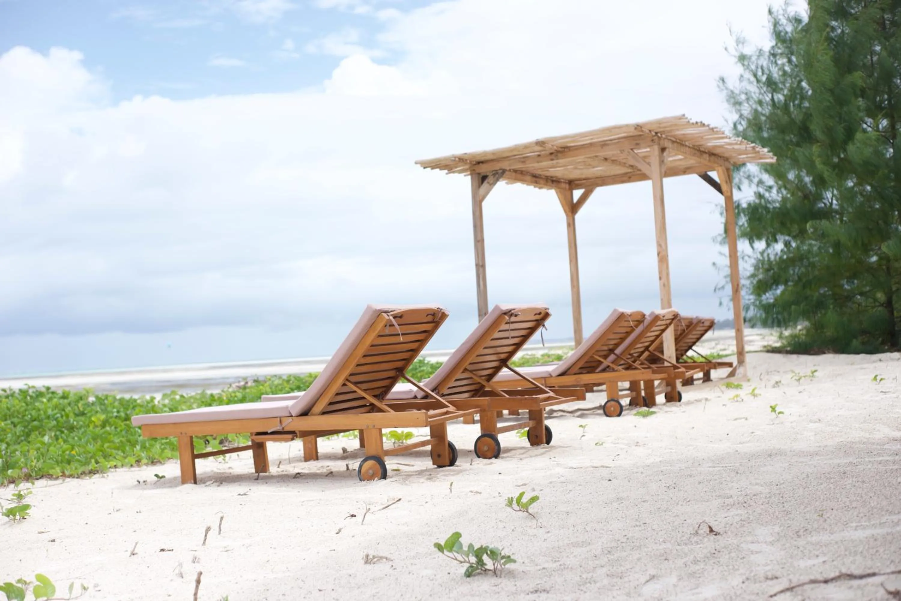 Natural landscape in Kivuli Beach Resort Paje