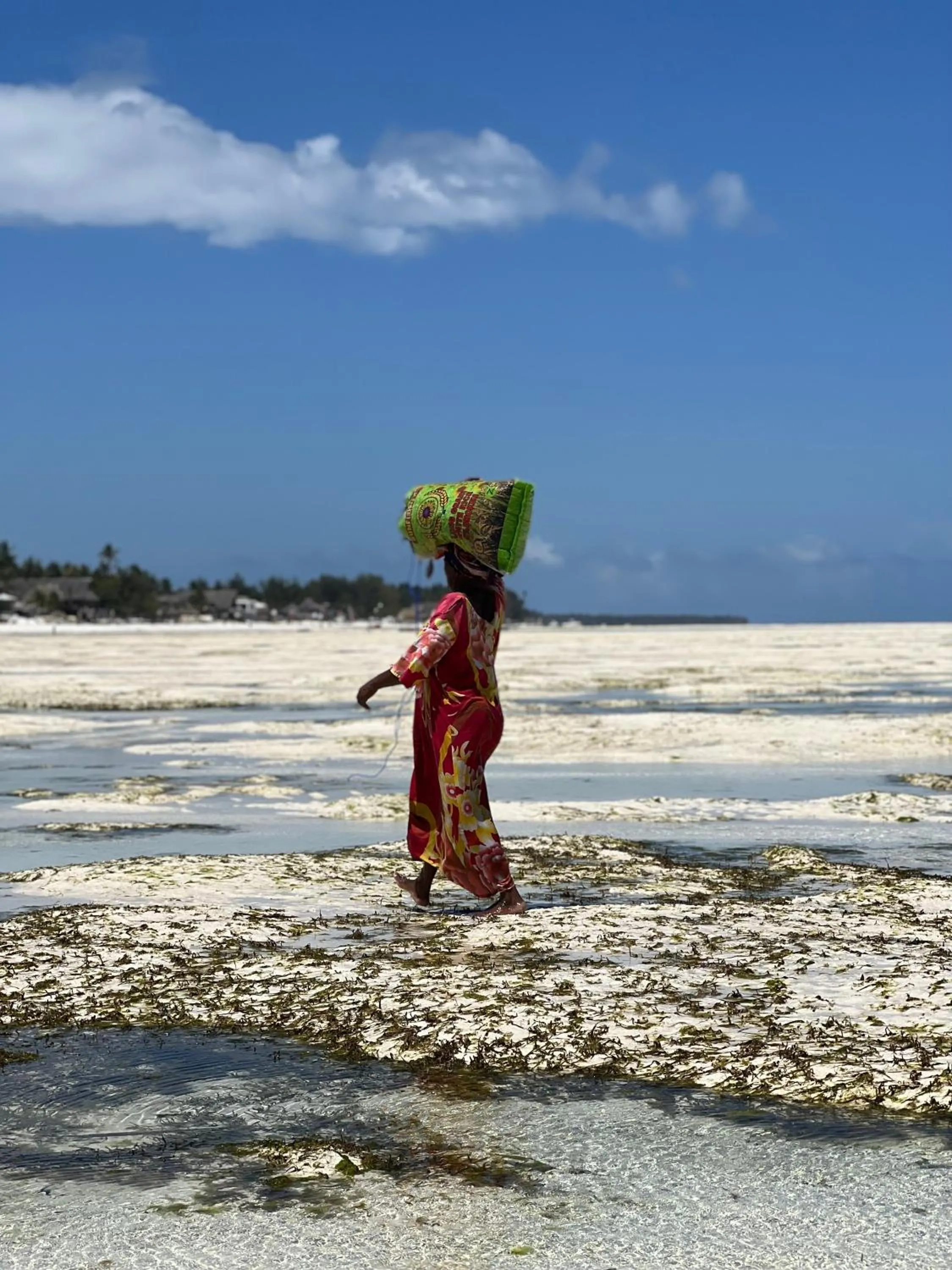 Natural landscape in Kivuli Beach Resort Paje