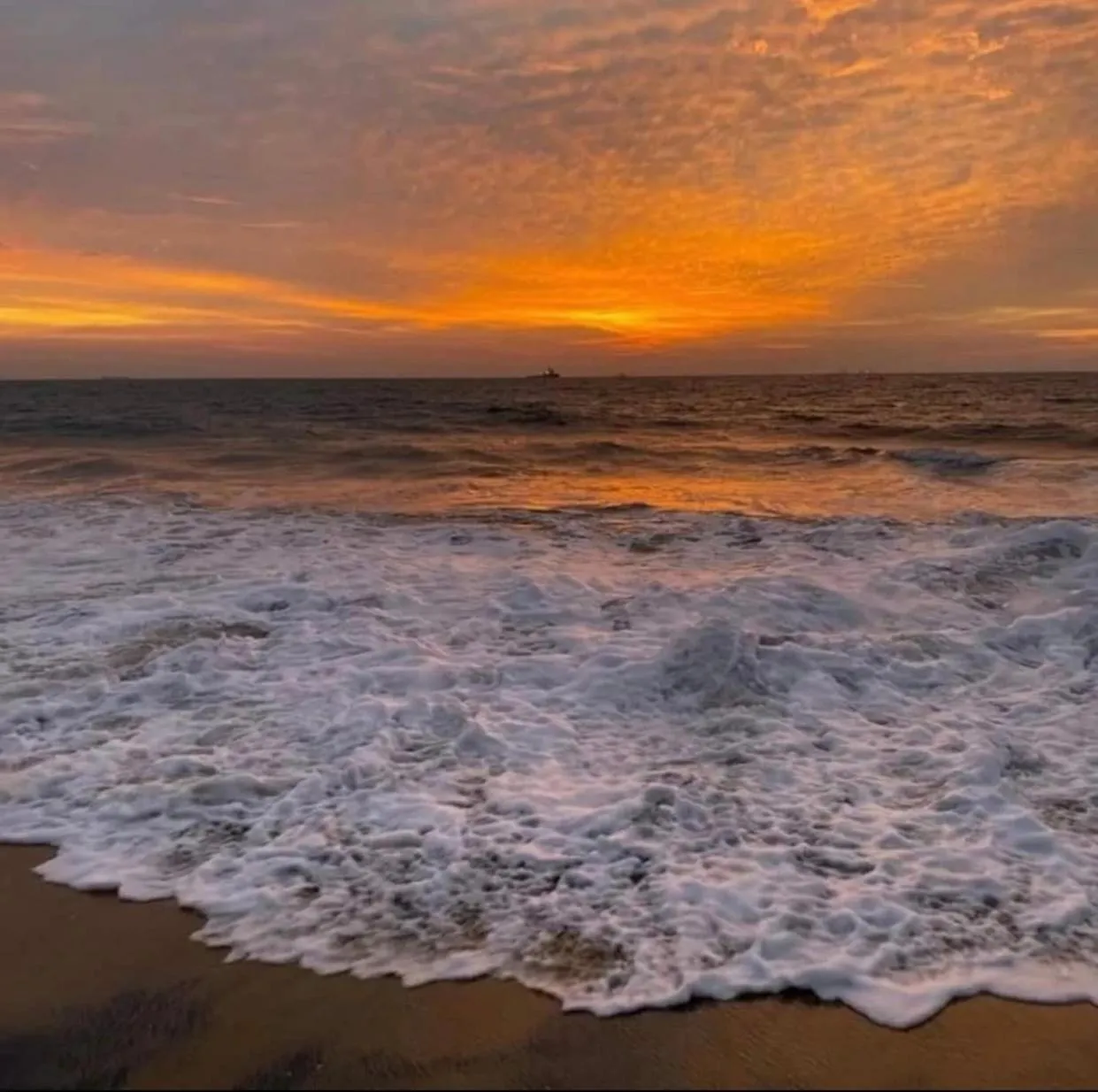 Natural landscape in Reef Bungalow Hotel