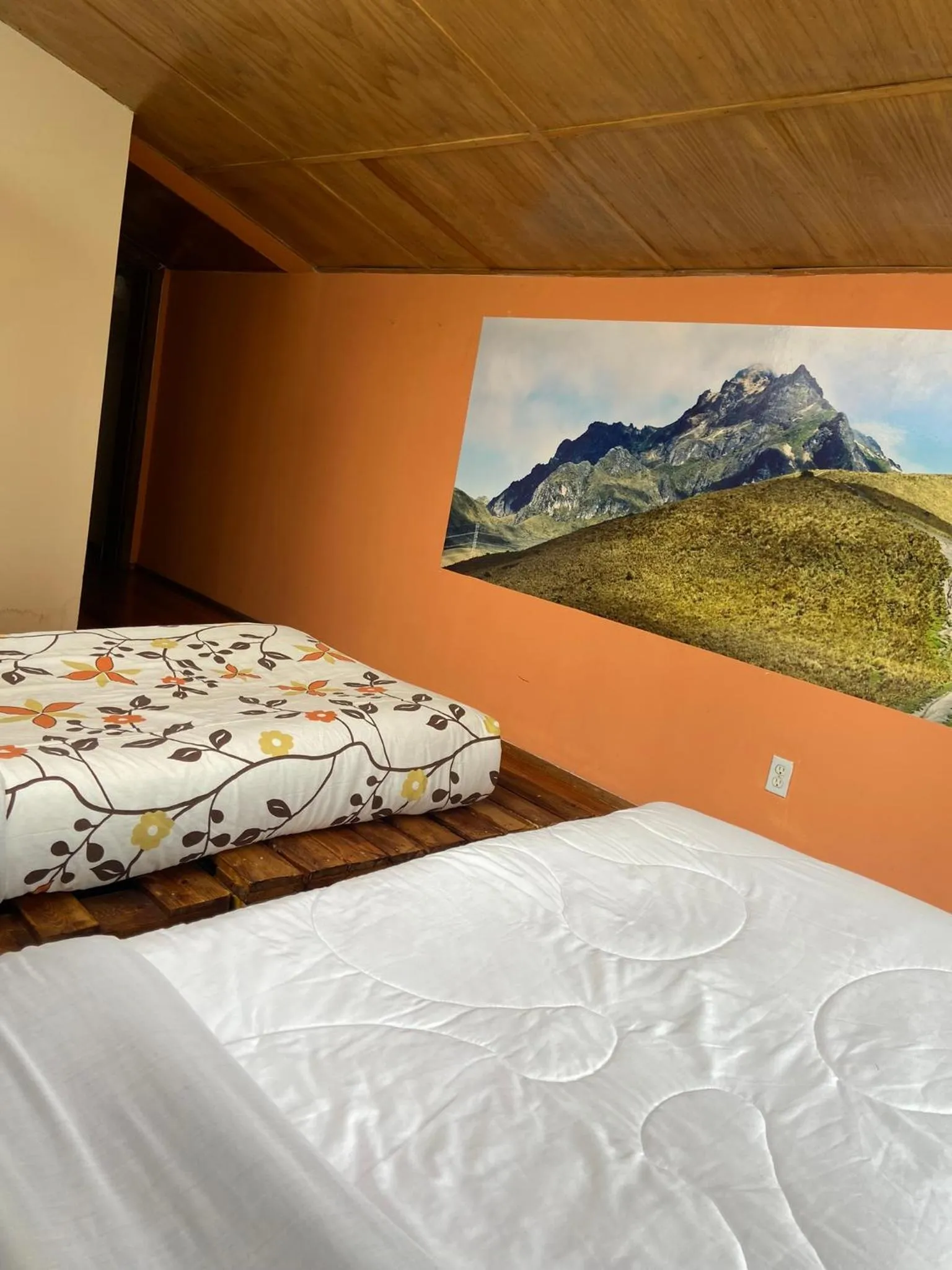 Bed in Blue house La Floresta