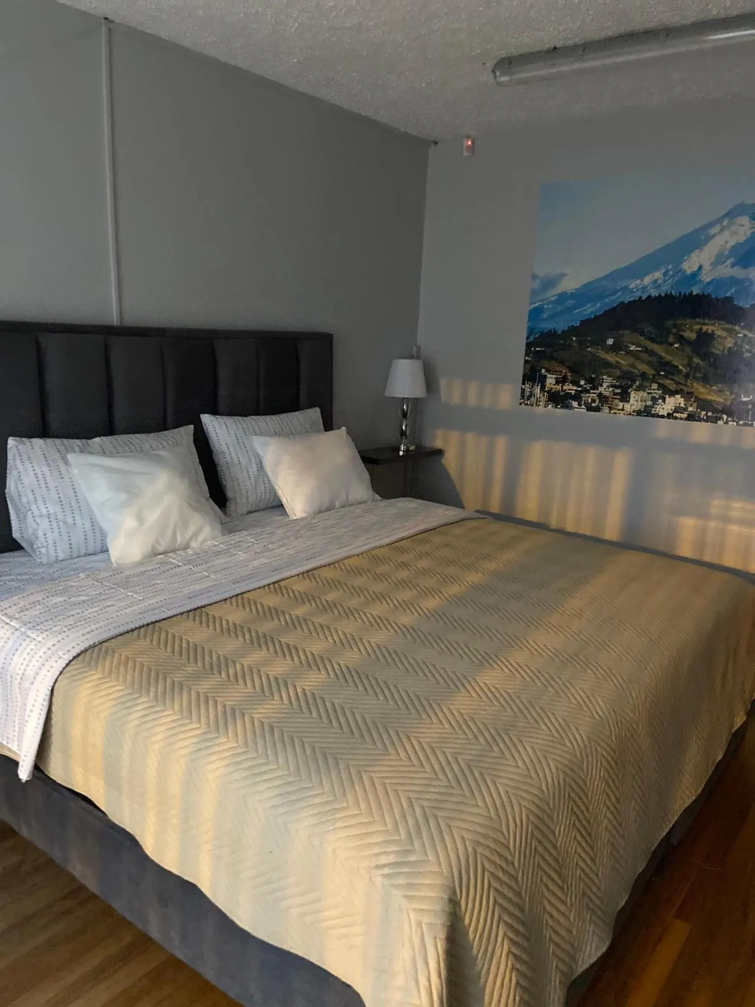 Bed in Blue house La Floresta