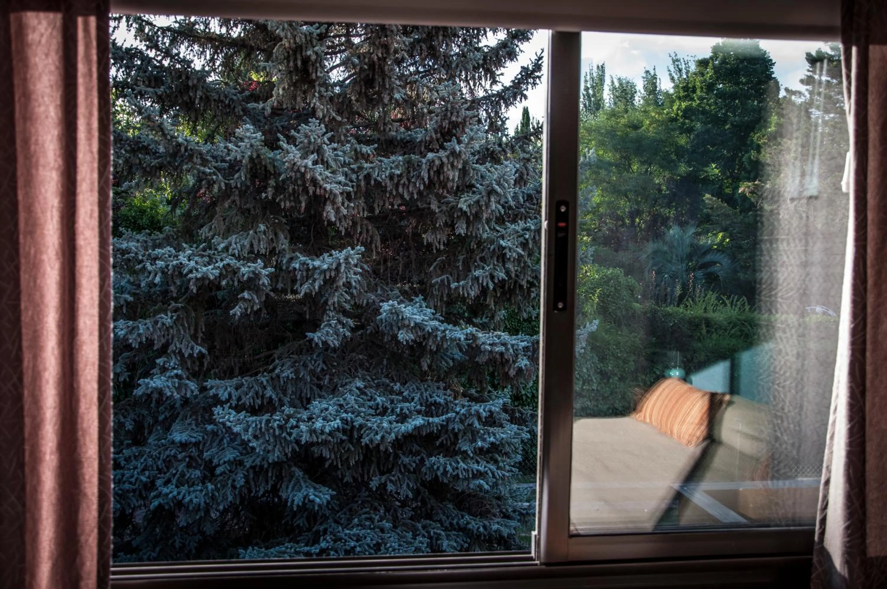 Garden view in Terra Campo Posada