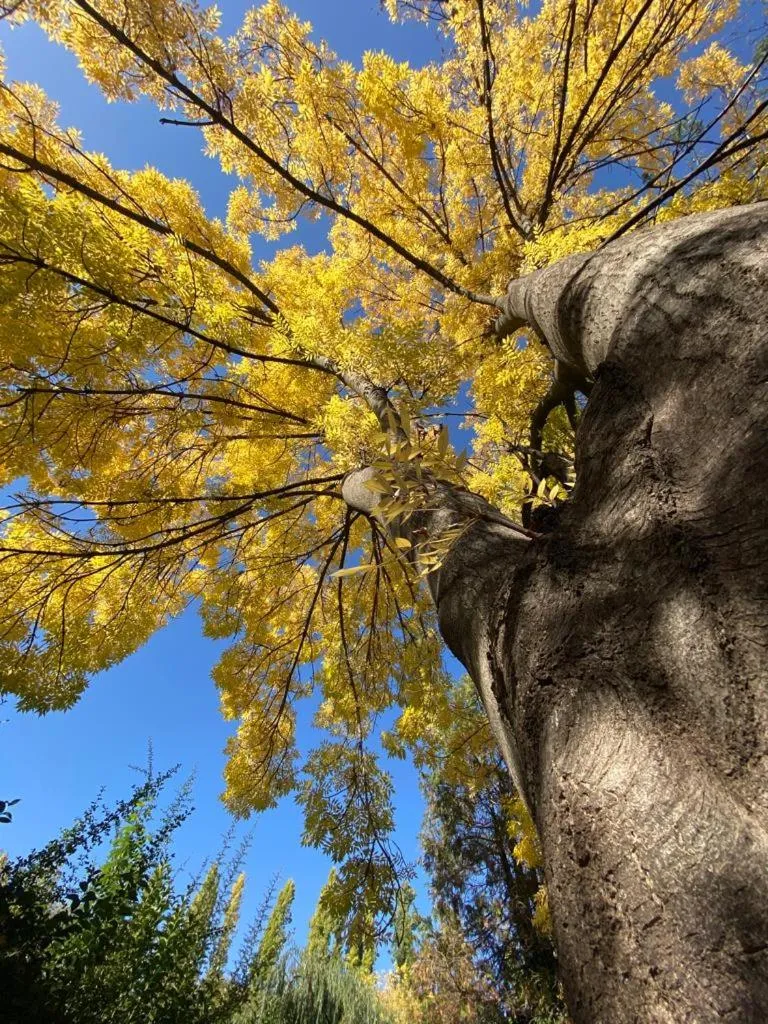 Garden in Terra Campo Posada