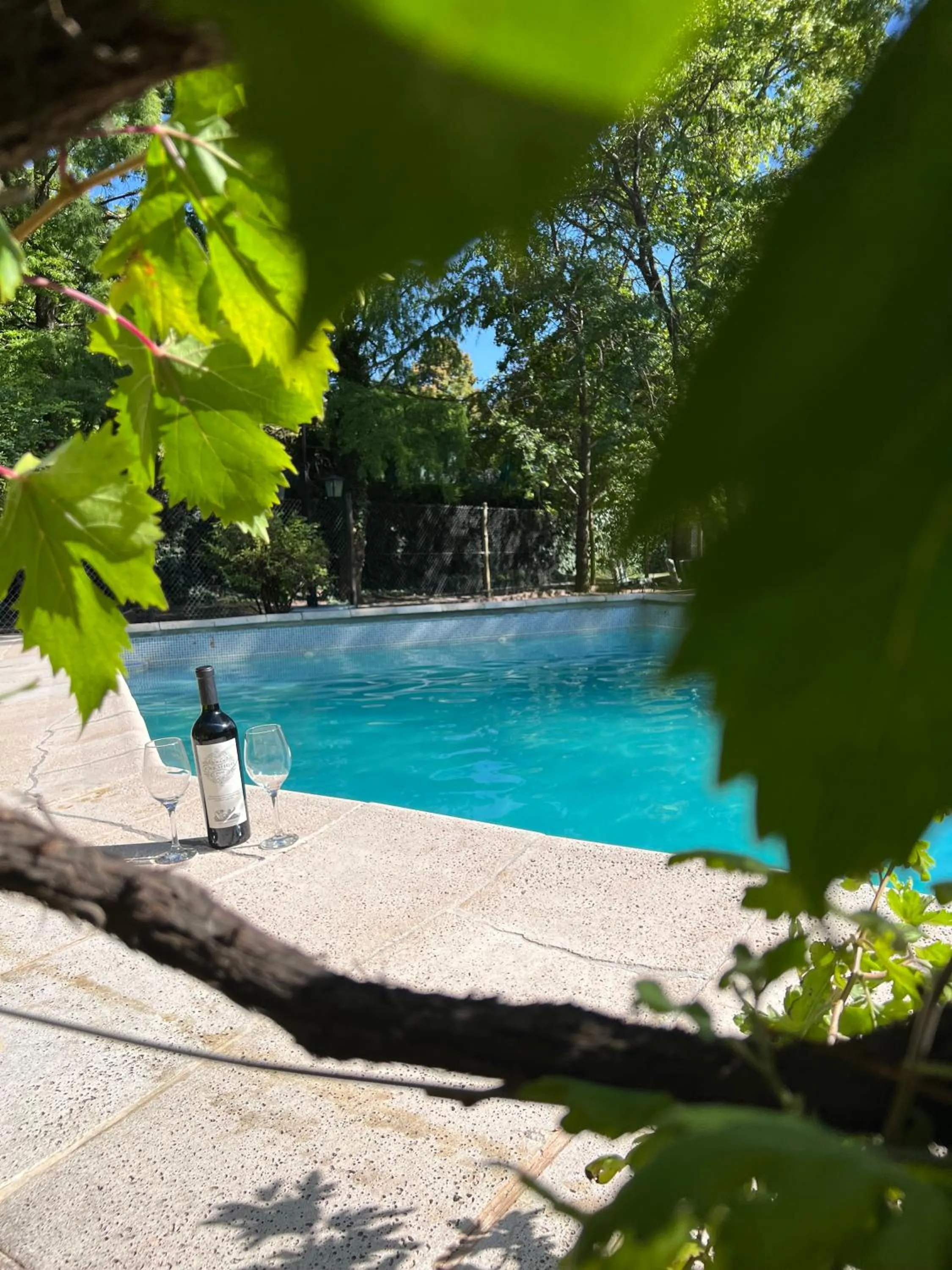 Swimming pool in Terra Campo Posada