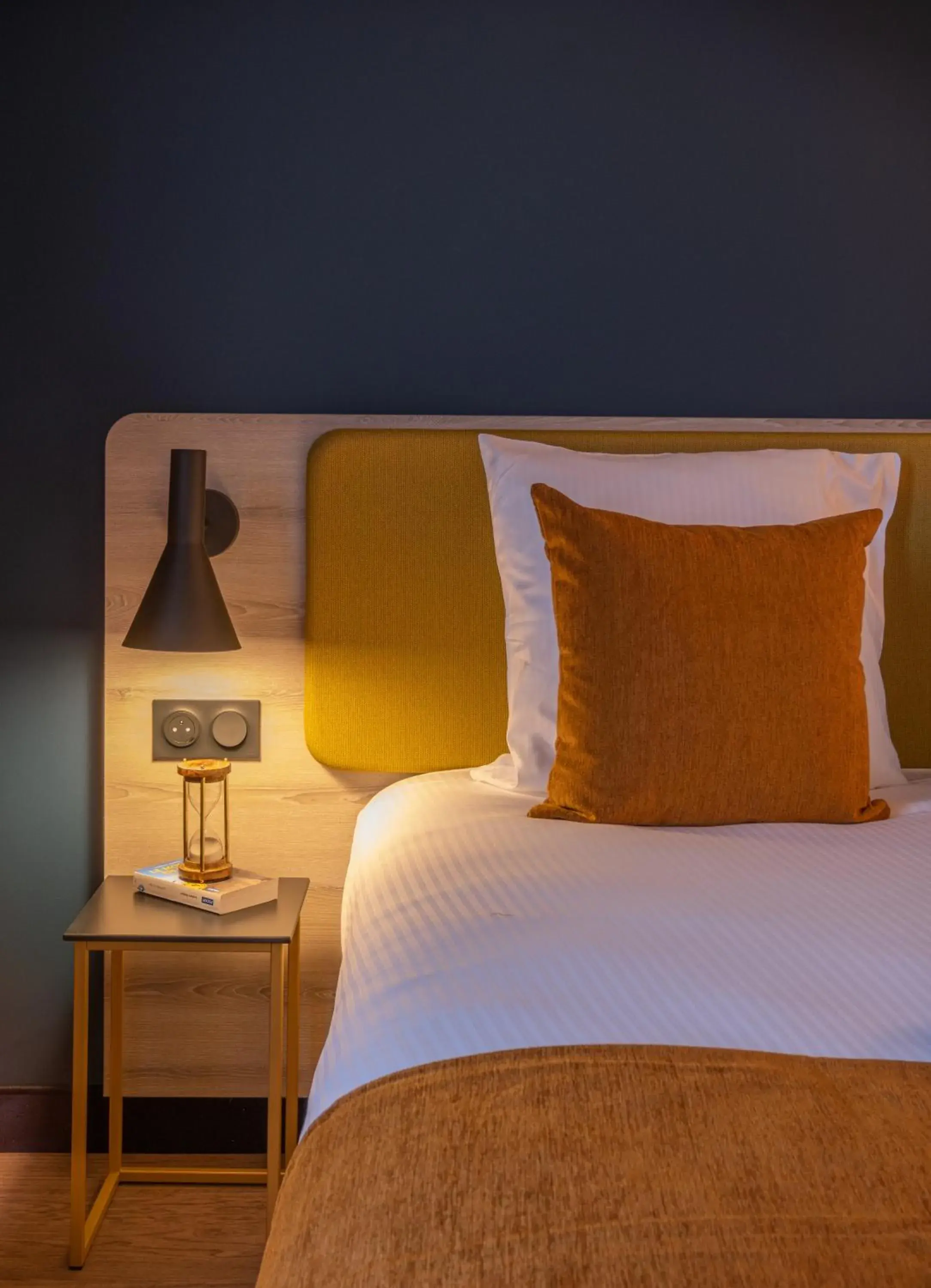 Twin Room in Kyriad Tours Sud - Ballan Mire Twin Room in Kyriad Tours Sud - Ballan Mire