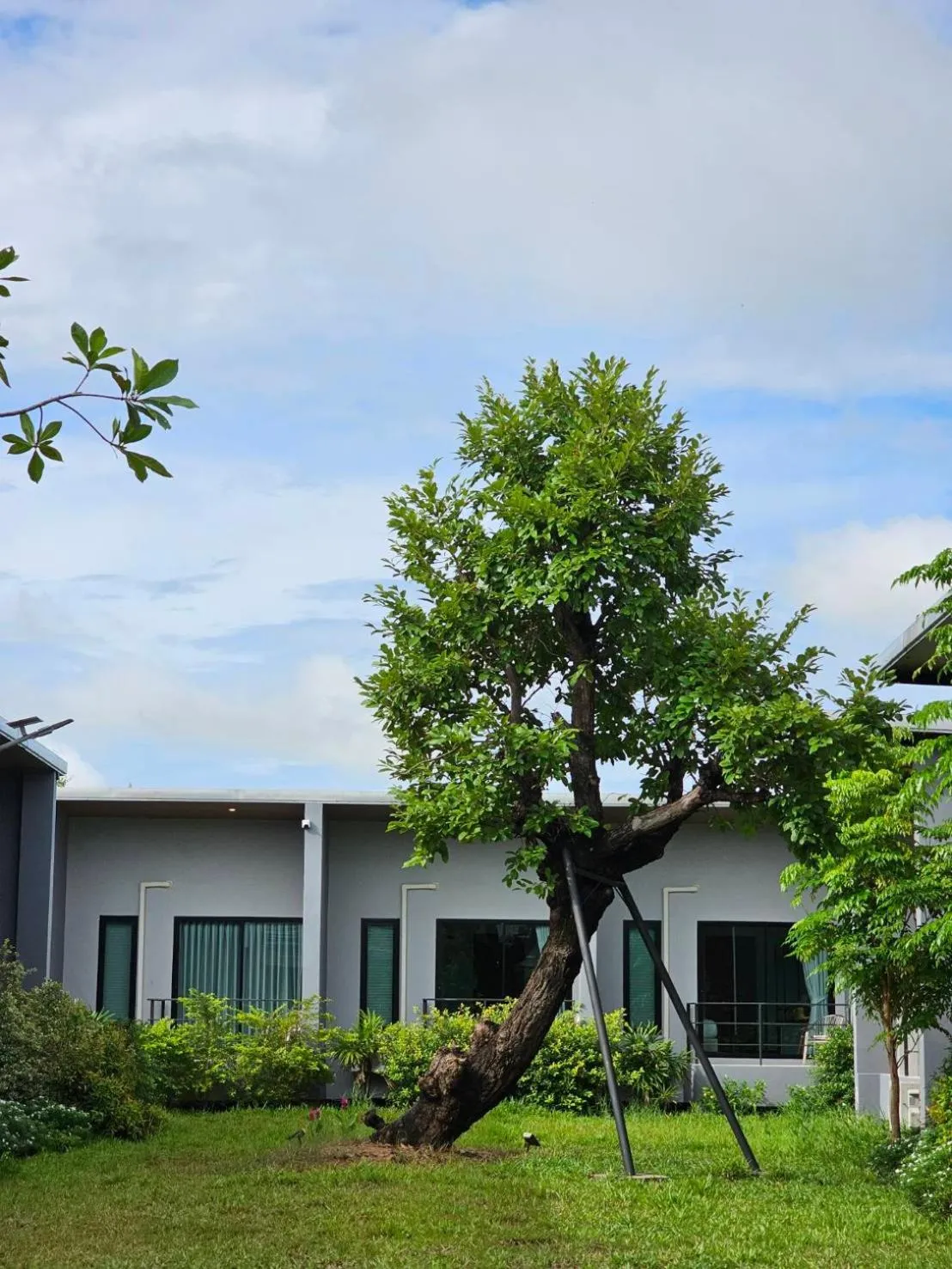Garden in Destino Hotel Surin