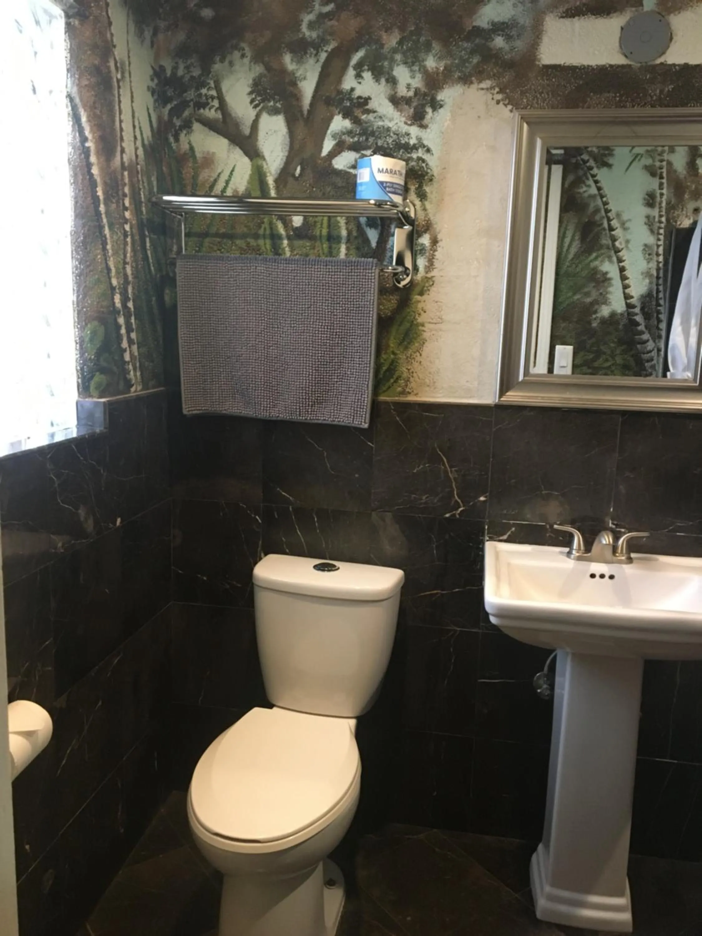 Toilet in Desert Moon Motel