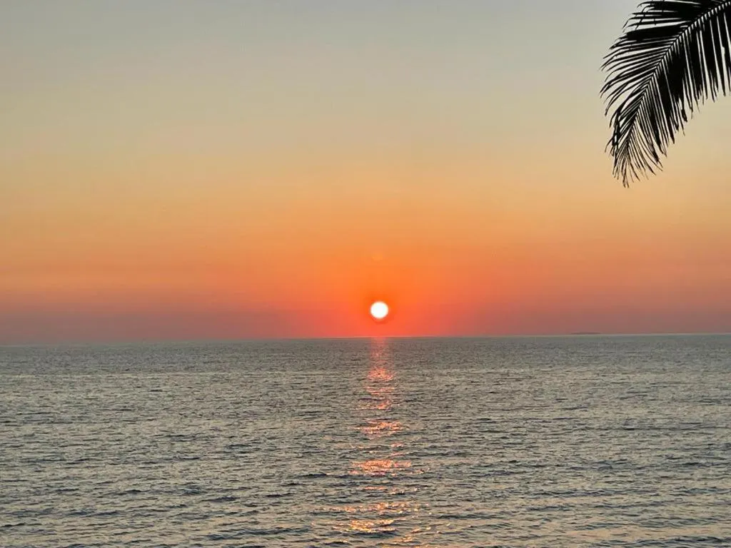 Sea view in Maritima Front Beach Apartment