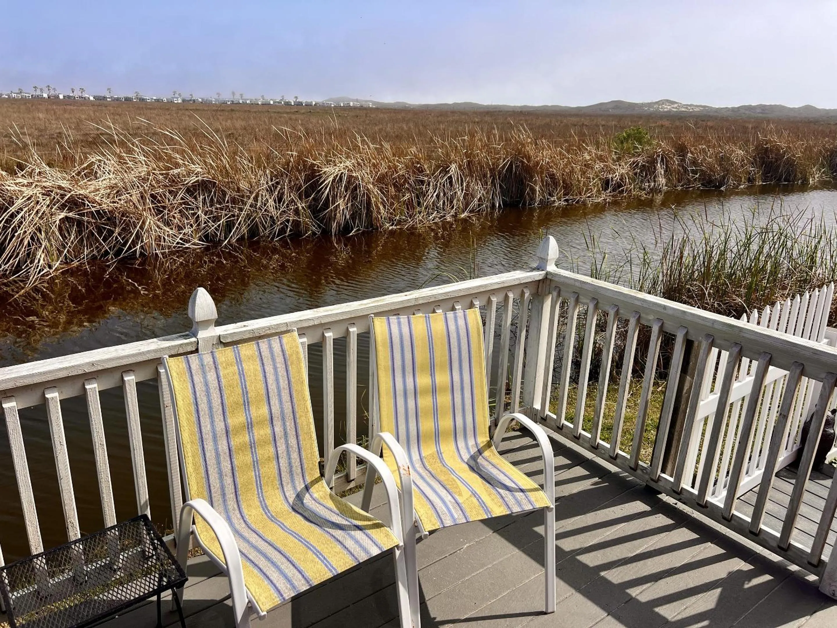 Property building in Sandy Cheeks