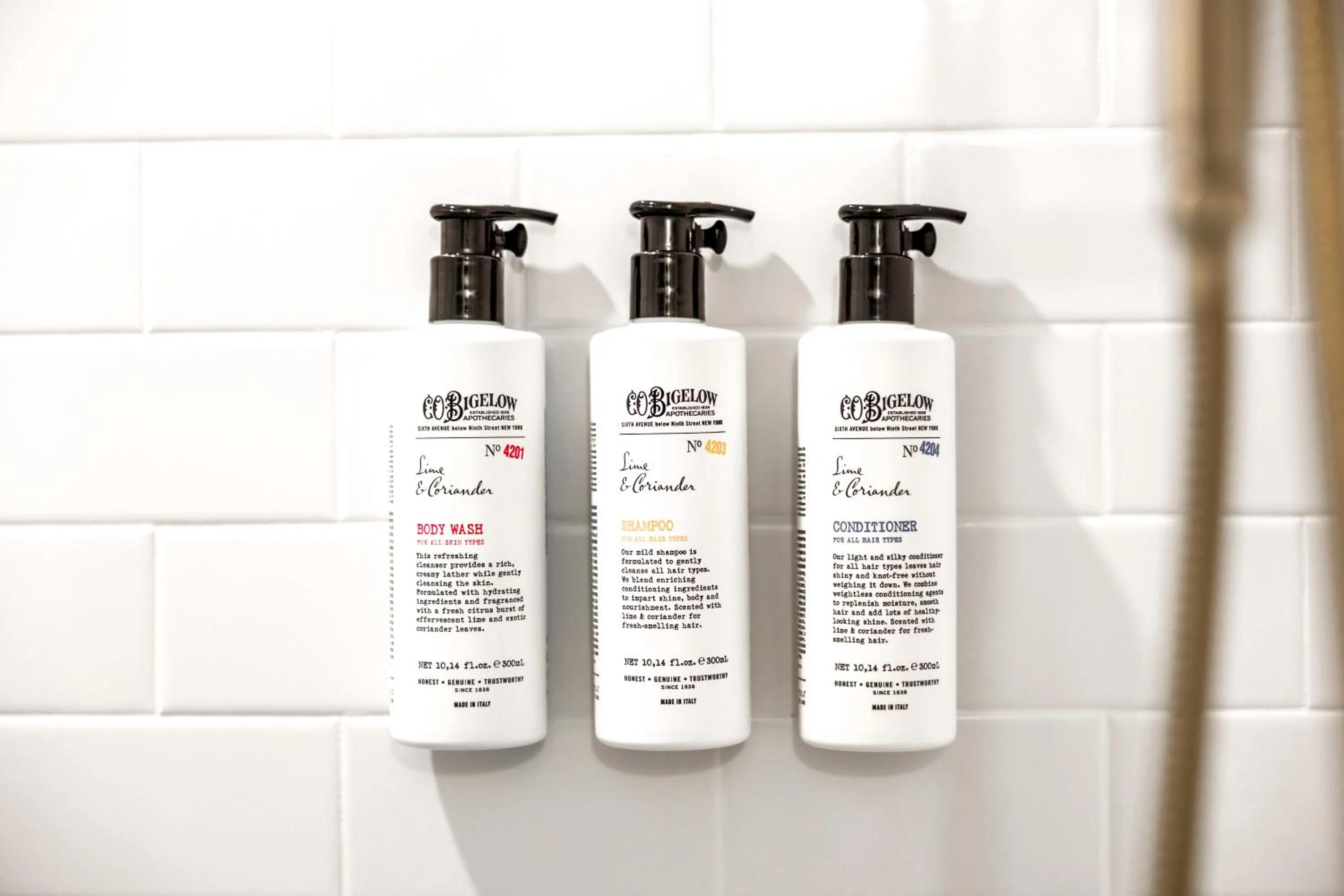 Shower in The Coach House