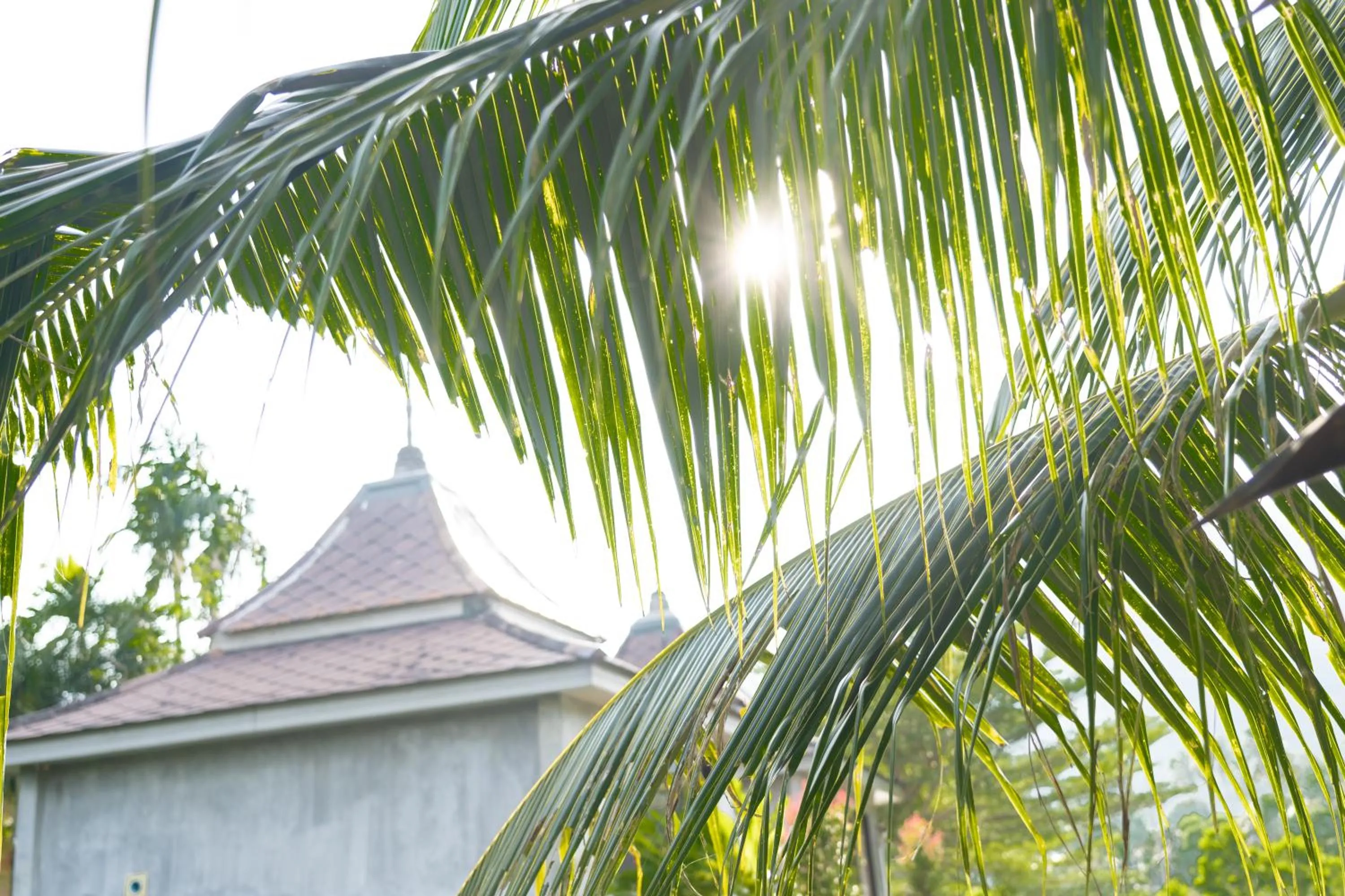 Natural landscape in Anodard Phuket, Nai Yang Beach