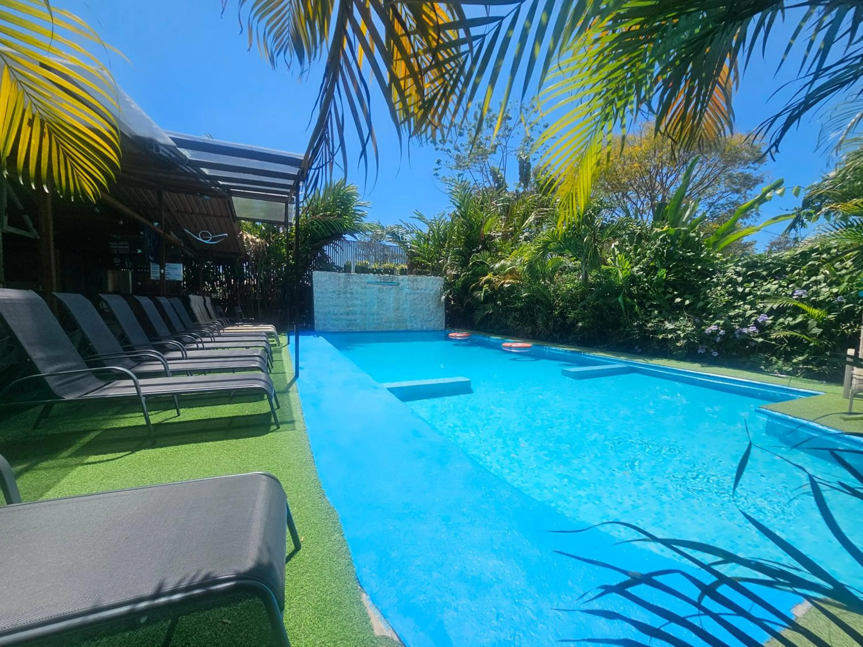 Swimming pool in Ballena Rey Hotel
