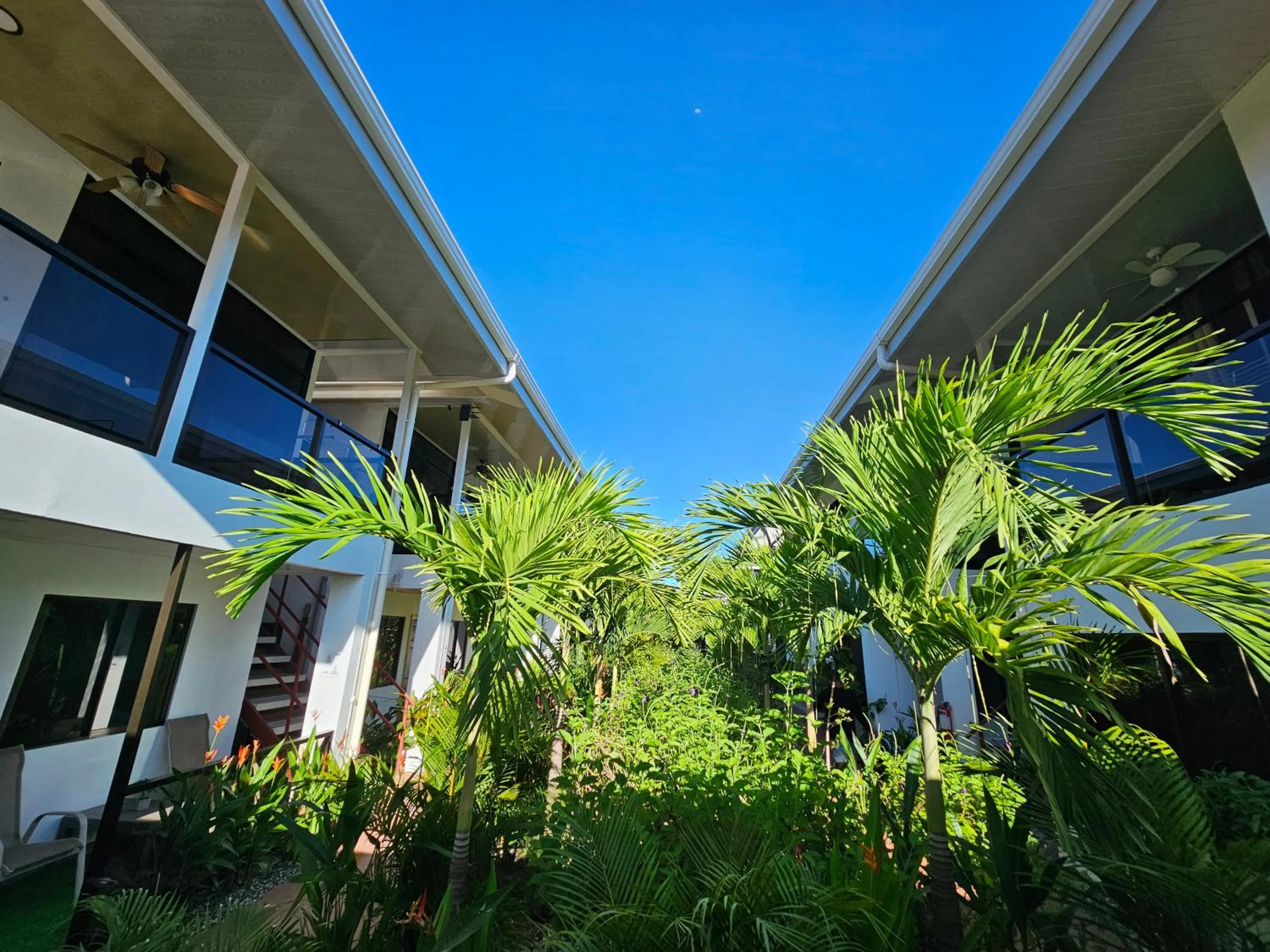 Property building in Ballena Rey Hotel