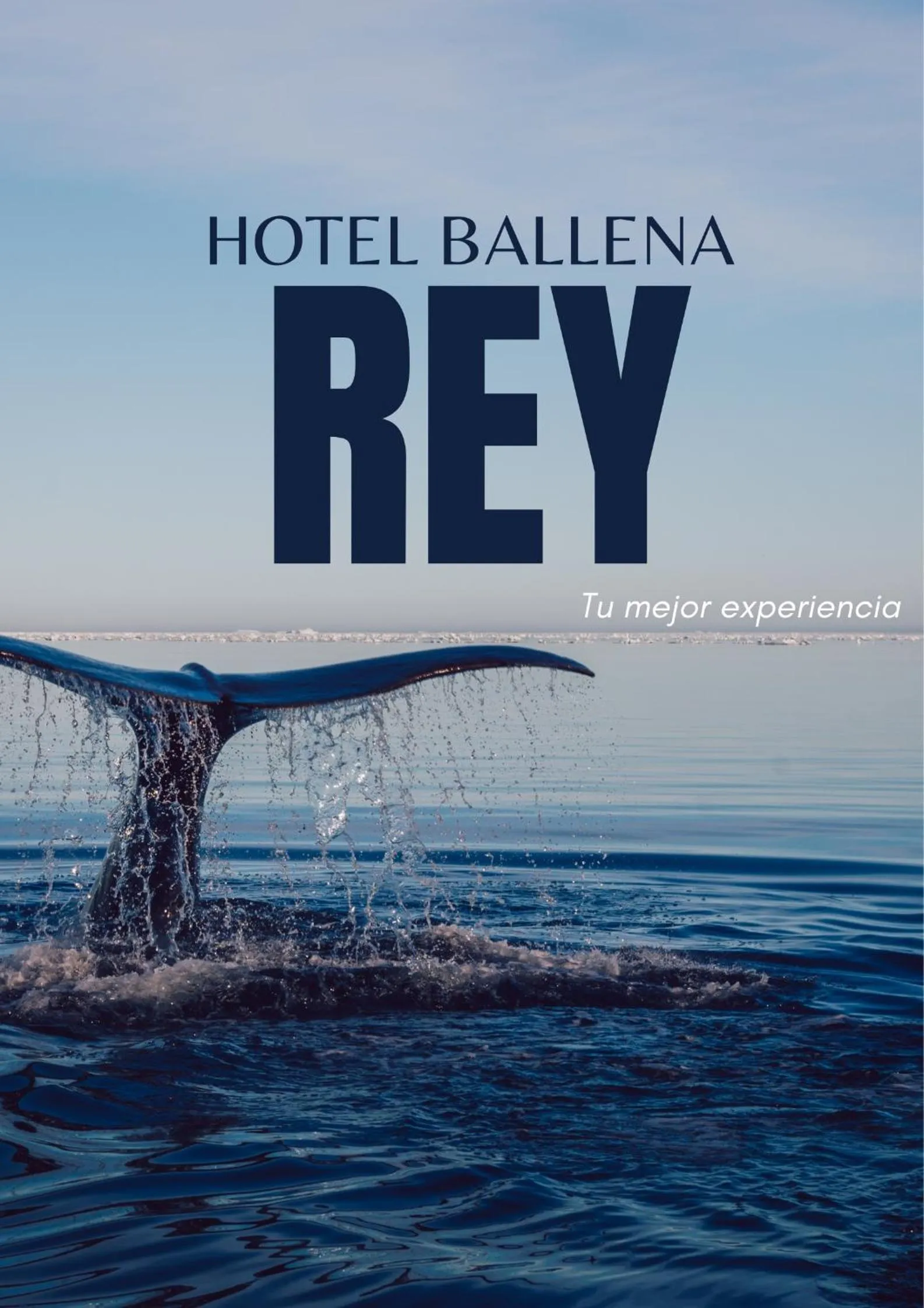Certificate/Award in Ballena Rey Hotel