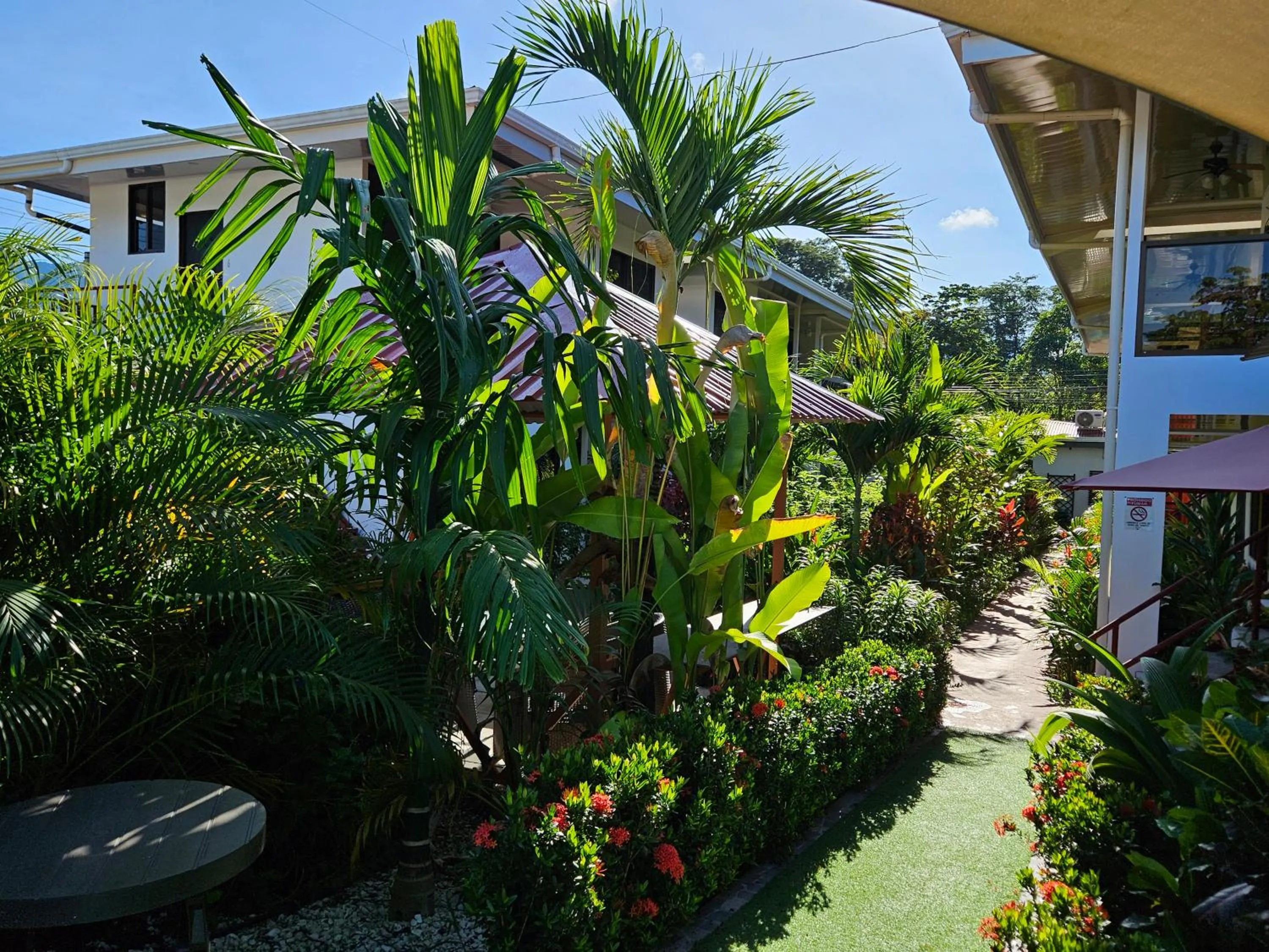 Summer in Ballena Rey Hotel