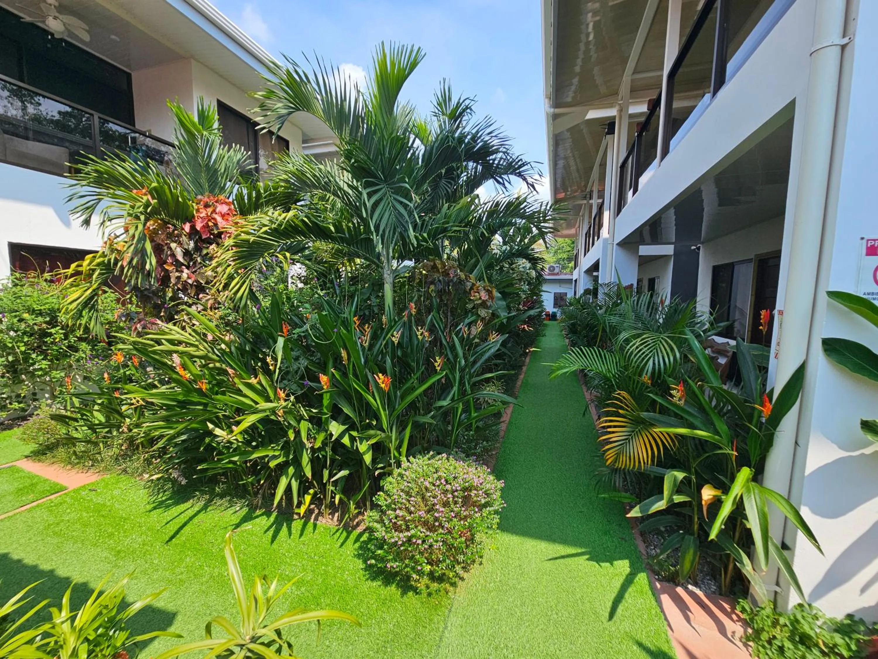 Garden in Ballena Rey Hotel