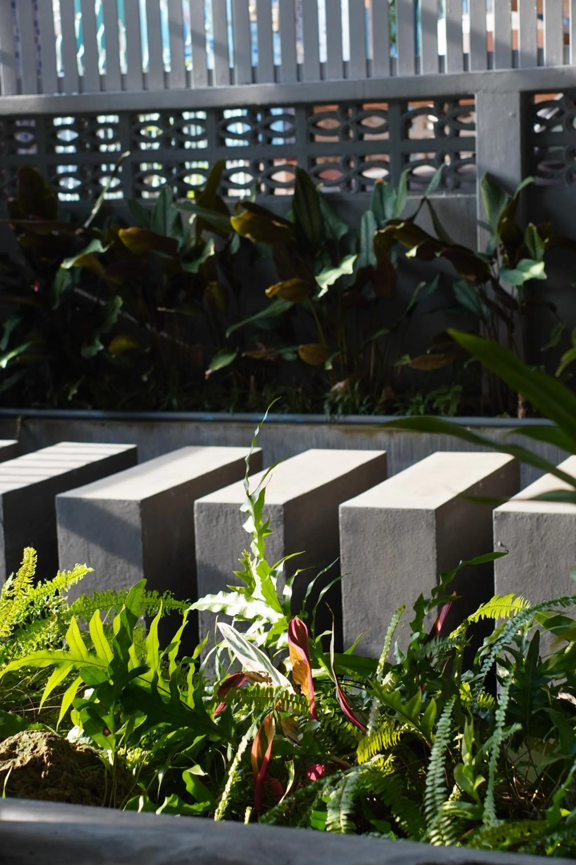 Garden in Nara Residence Trang