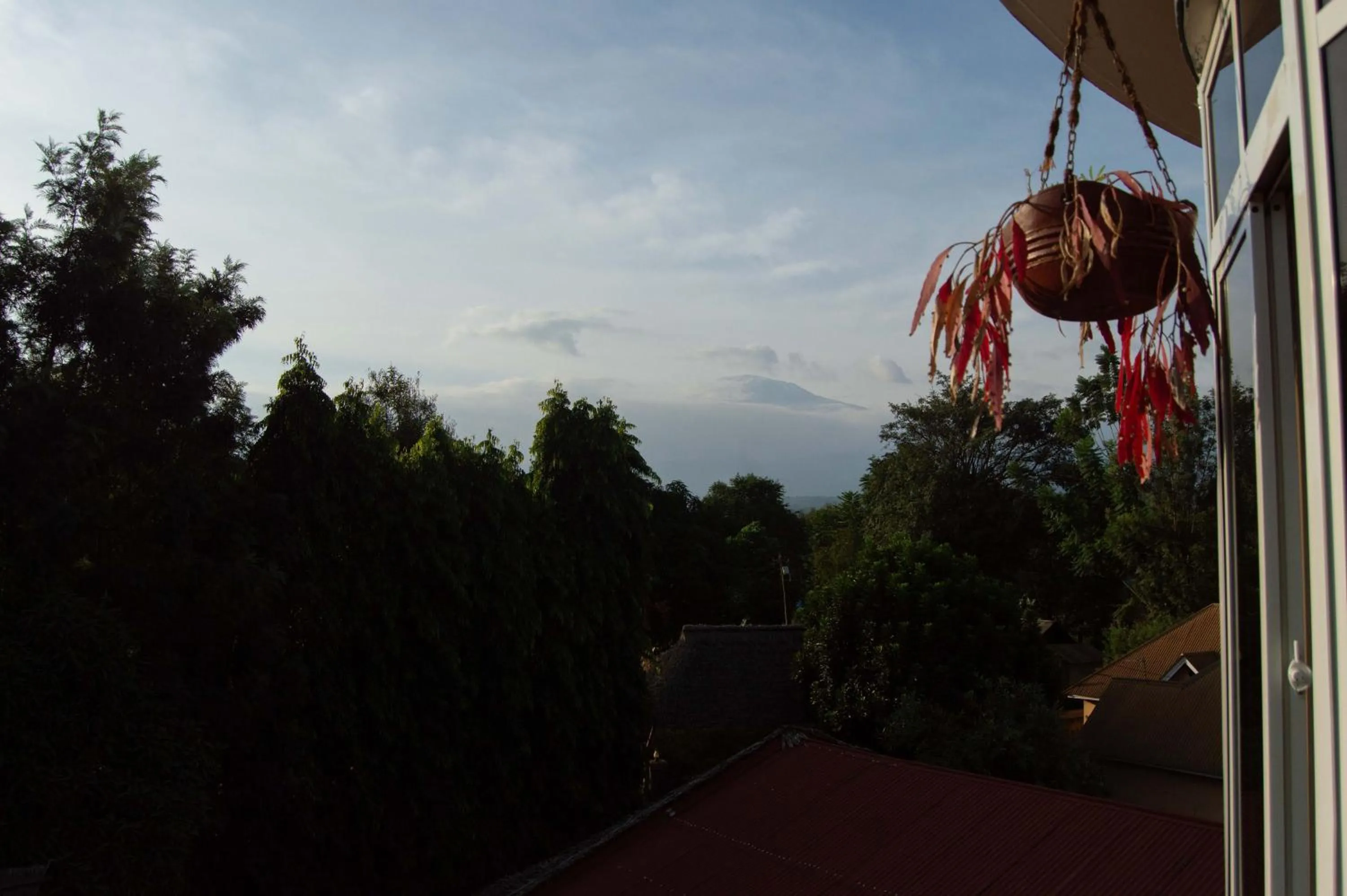 Mountain view in Kilimanjaro Scenic Homestay
