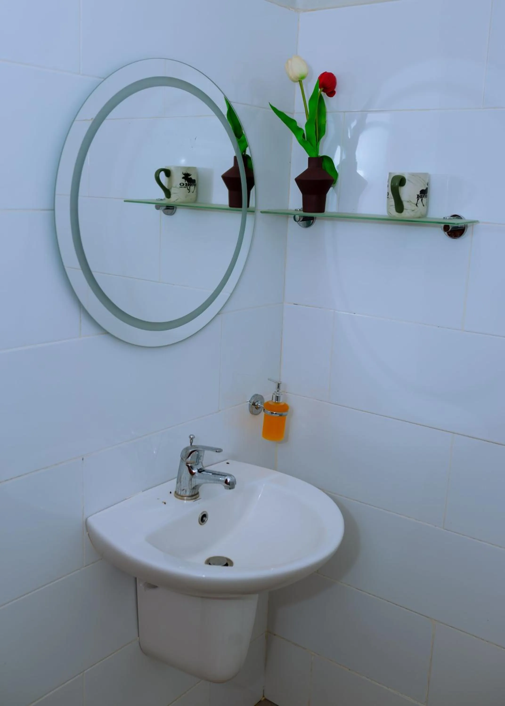 Bathroom in Kilimanjaro Scenic Homestay