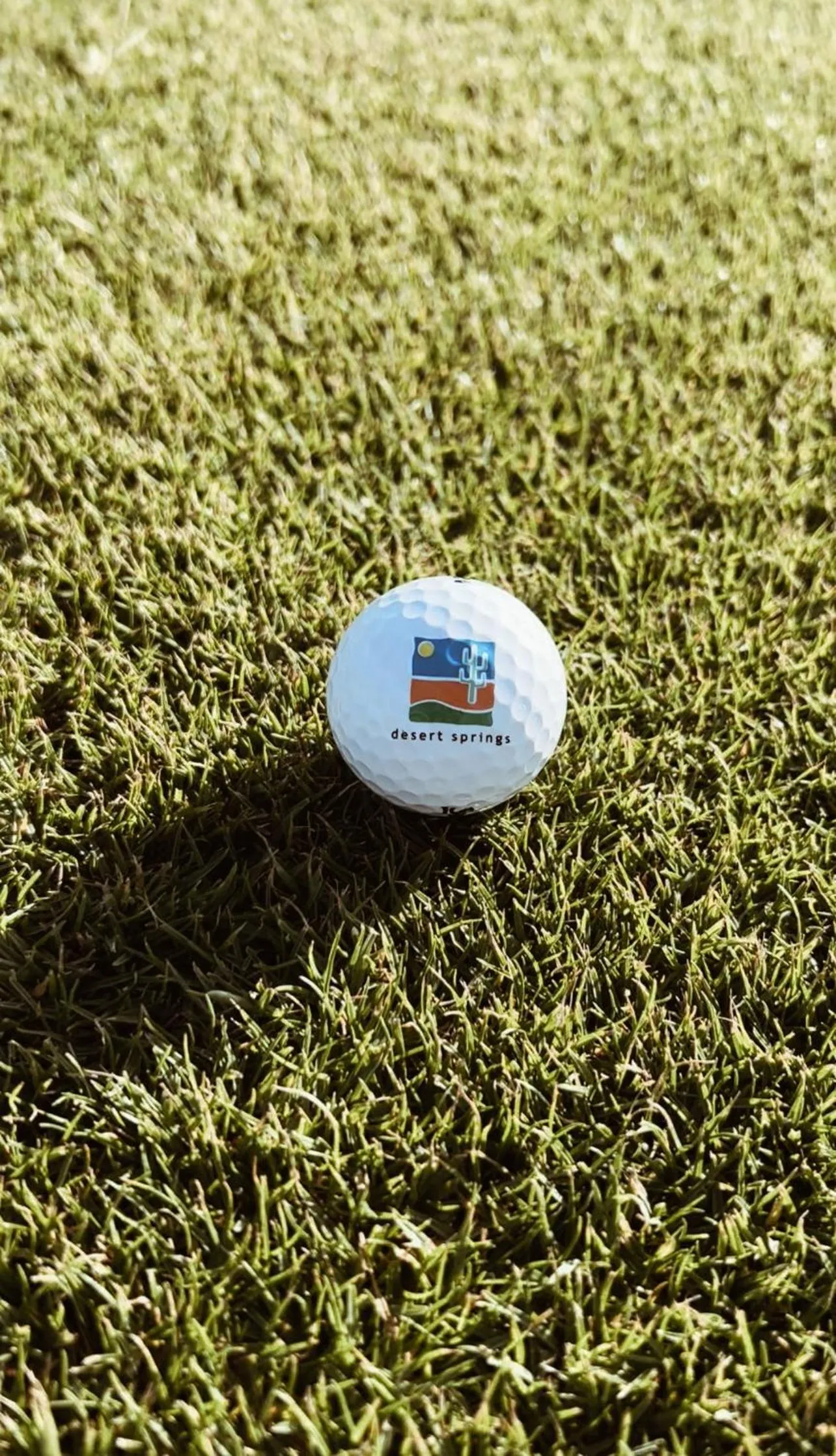 Day in Desert Springs Resort