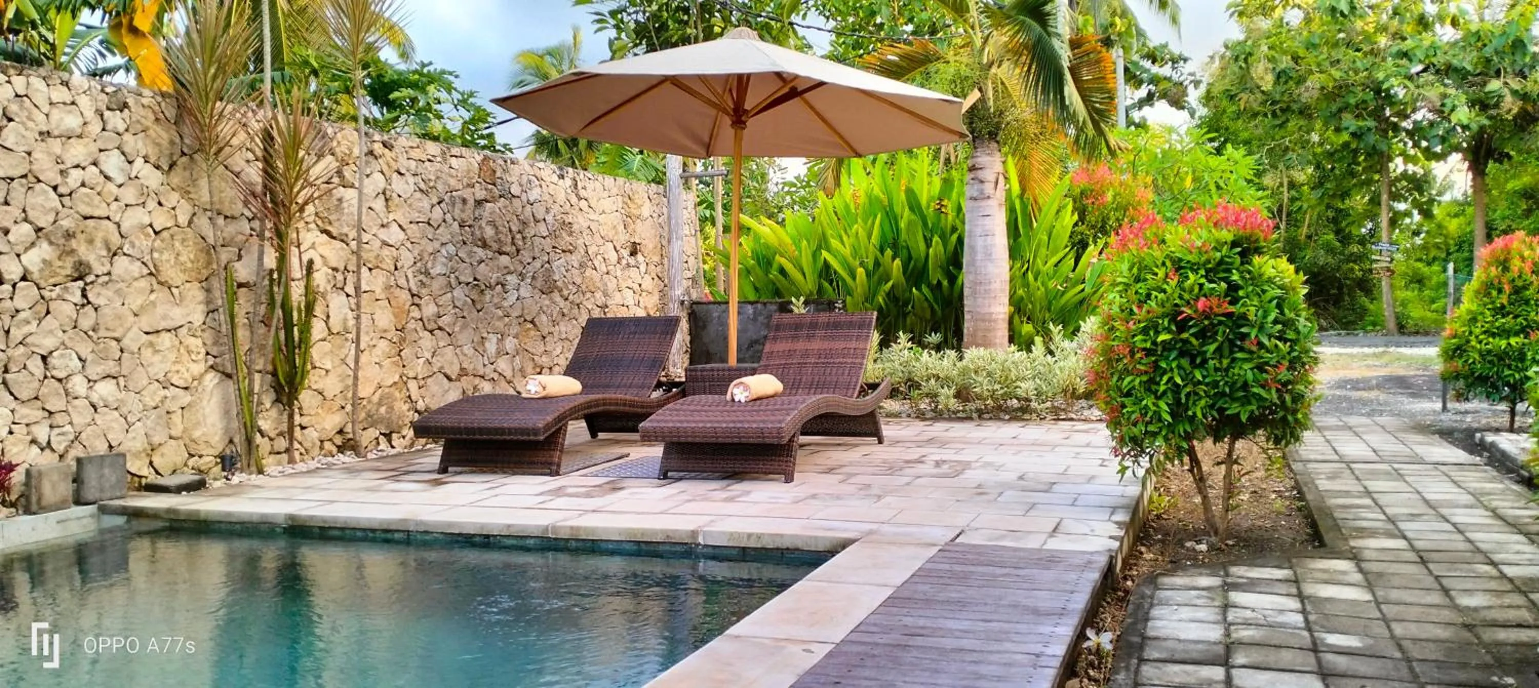 Swimming pool in Wage cottage