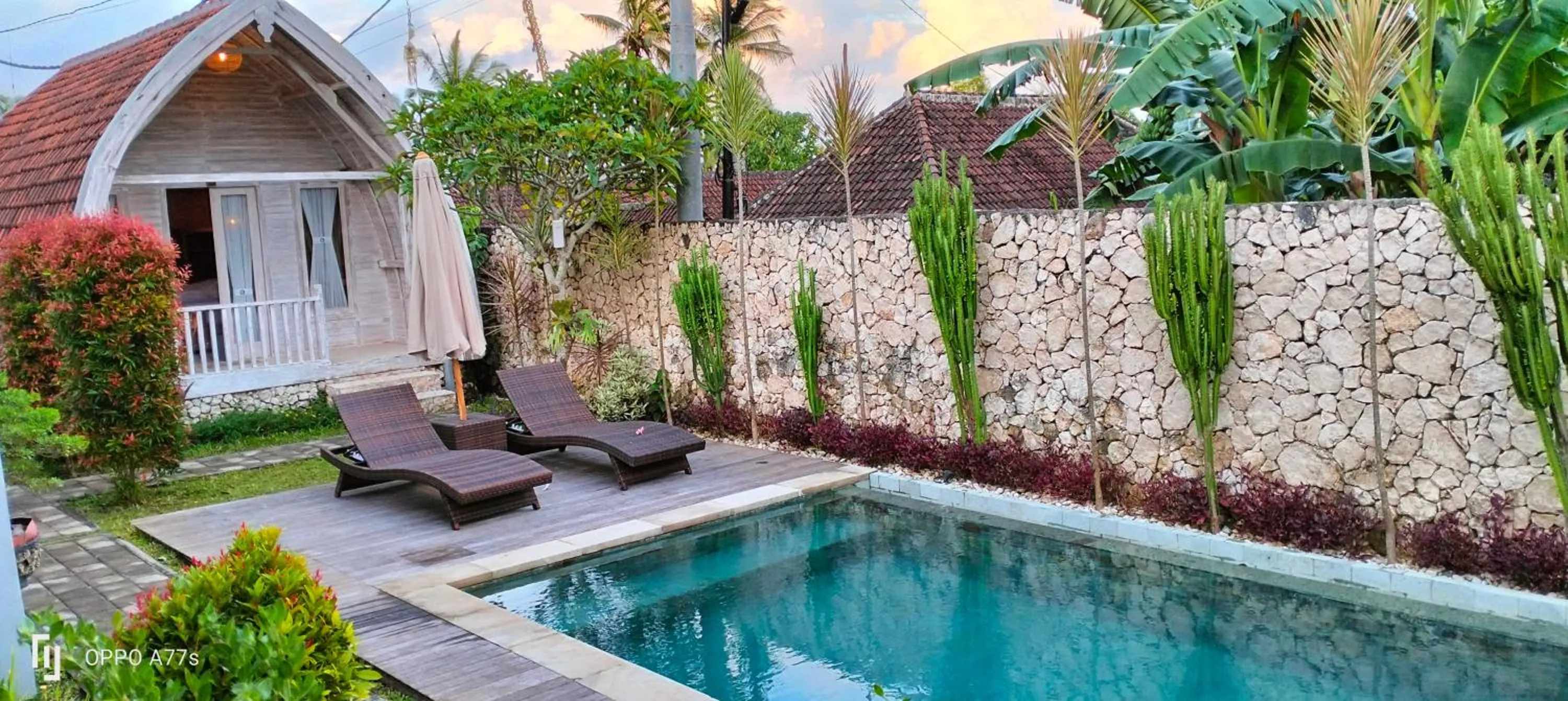 Swimming pool in Wage cottage