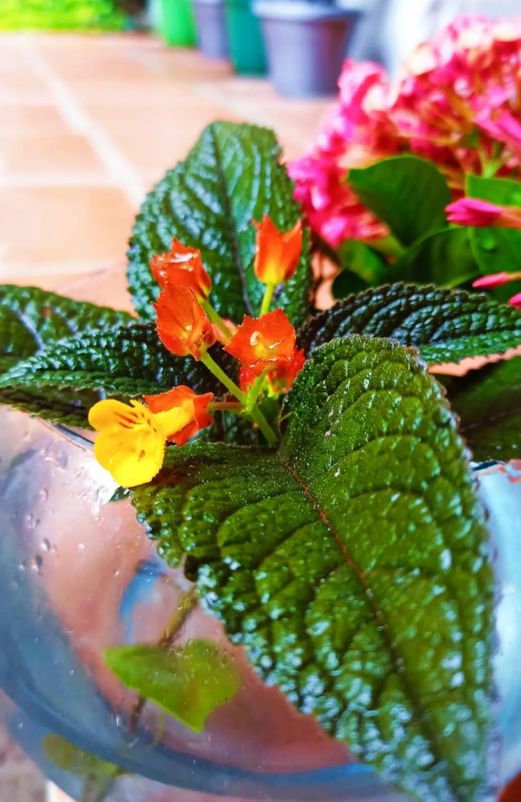 Spring in Albarrada Hotel Boutique