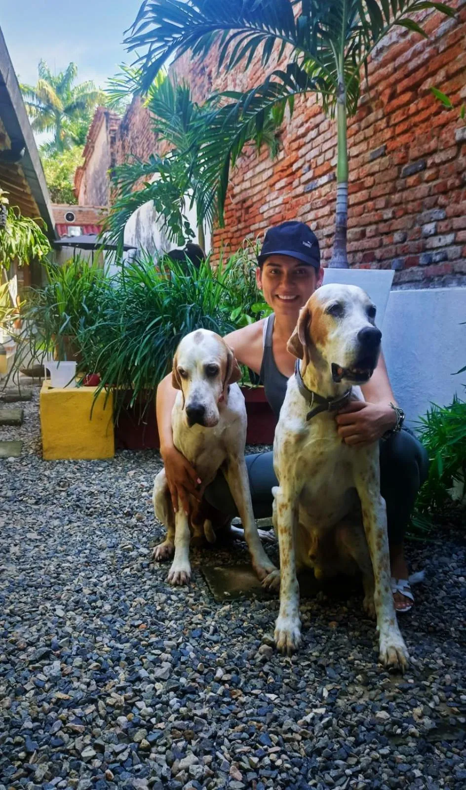 Pets in Albarrada Hotel Boutique