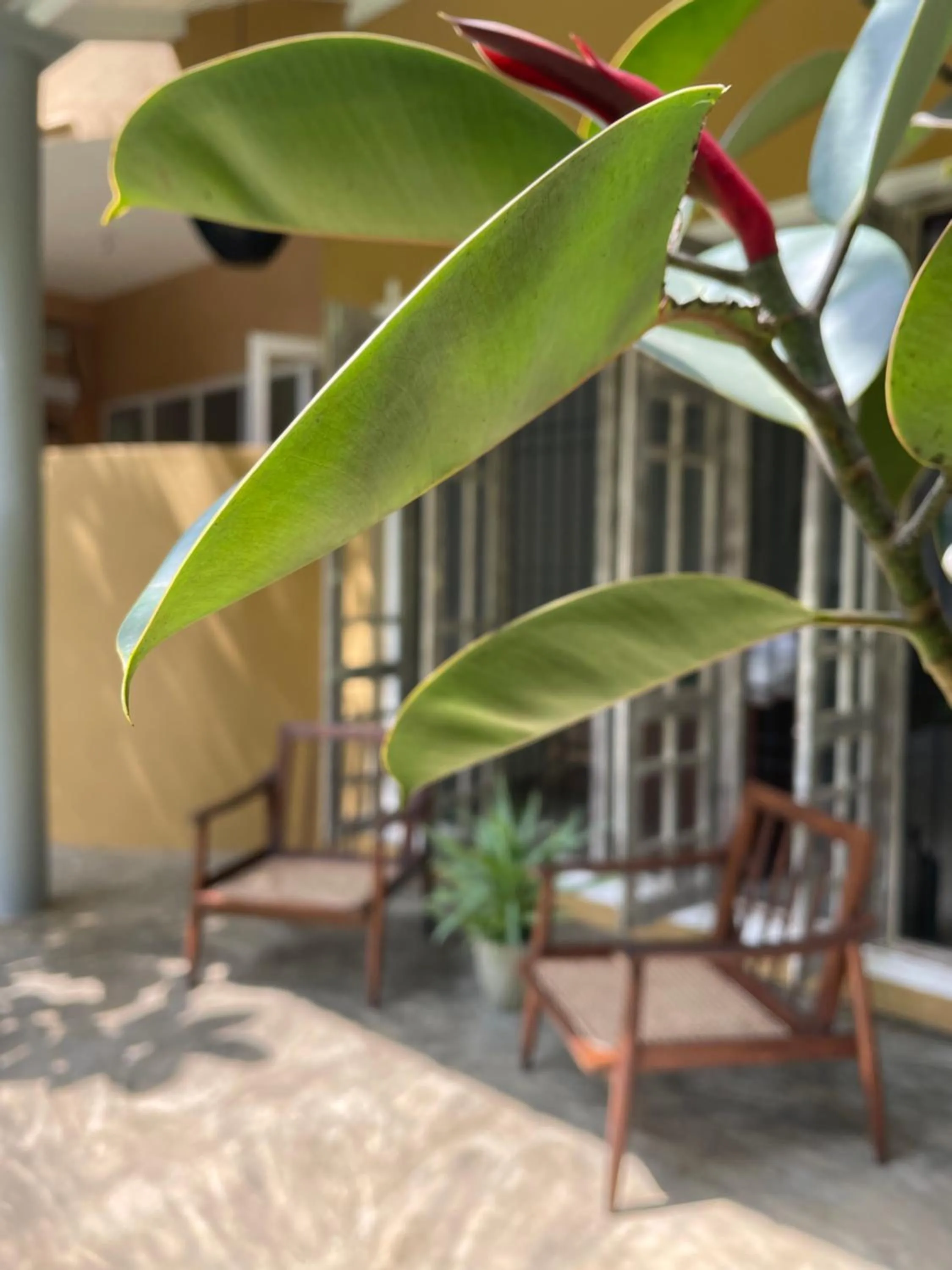 Patio in The Yard Hiriketiya