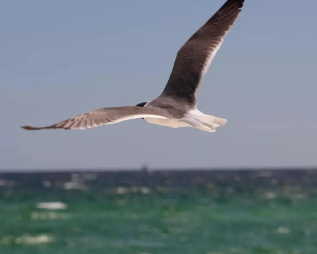 Hannah's Beach Paradise