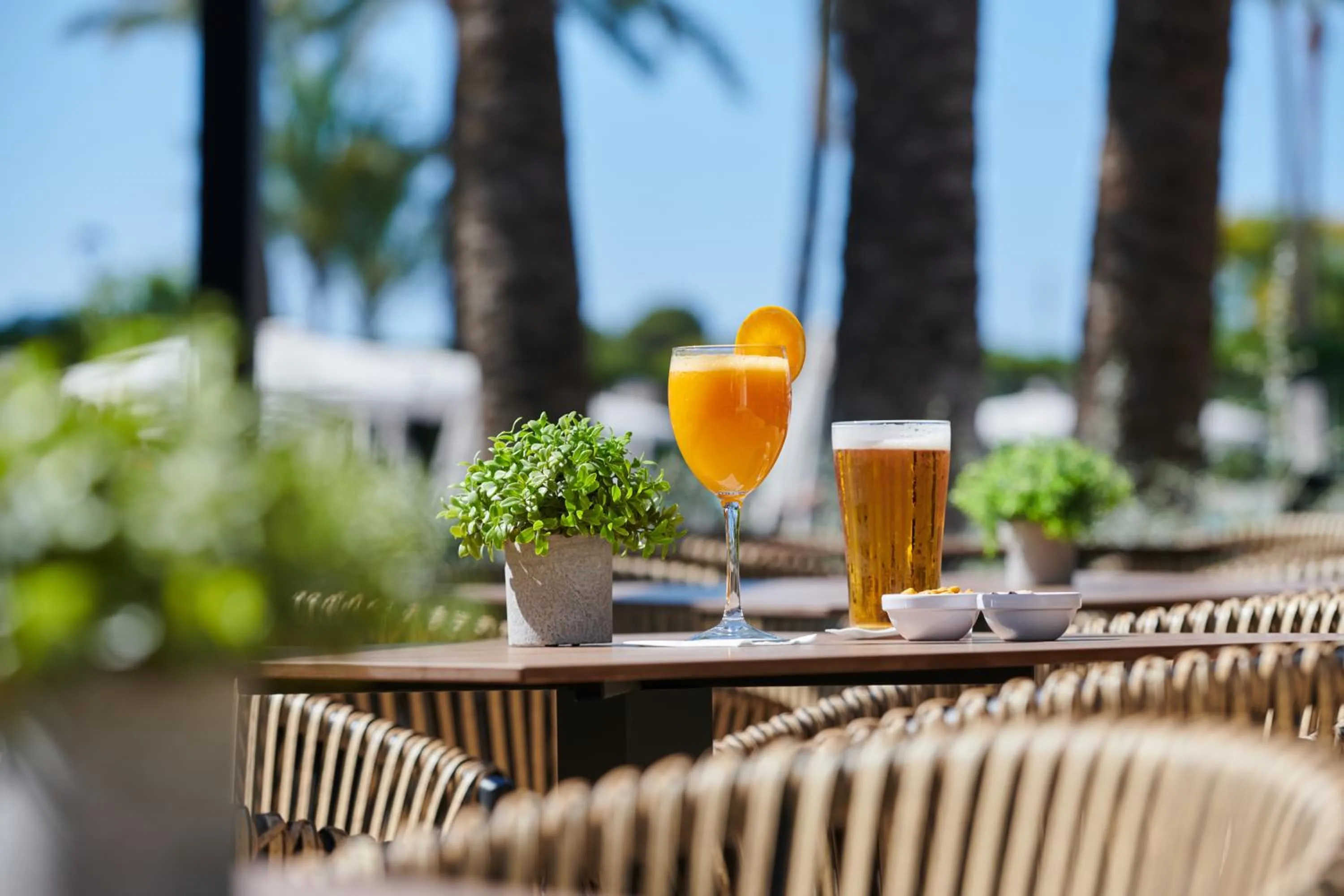 Food and drinks in Protur Sa Coma Playa Hotel & Spa
