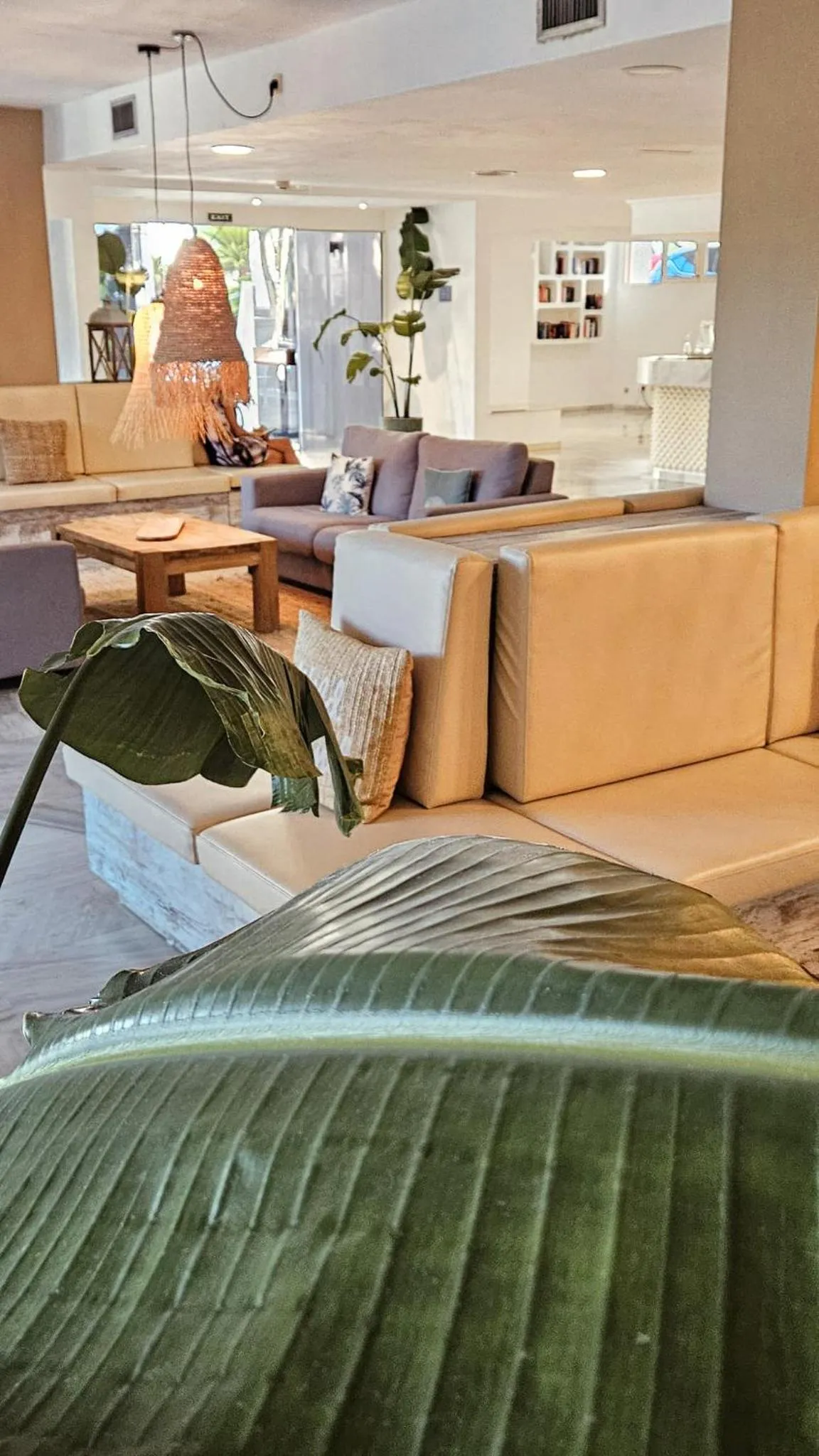 Lobby or reception in Sentido Fido Tucan - Adults Only