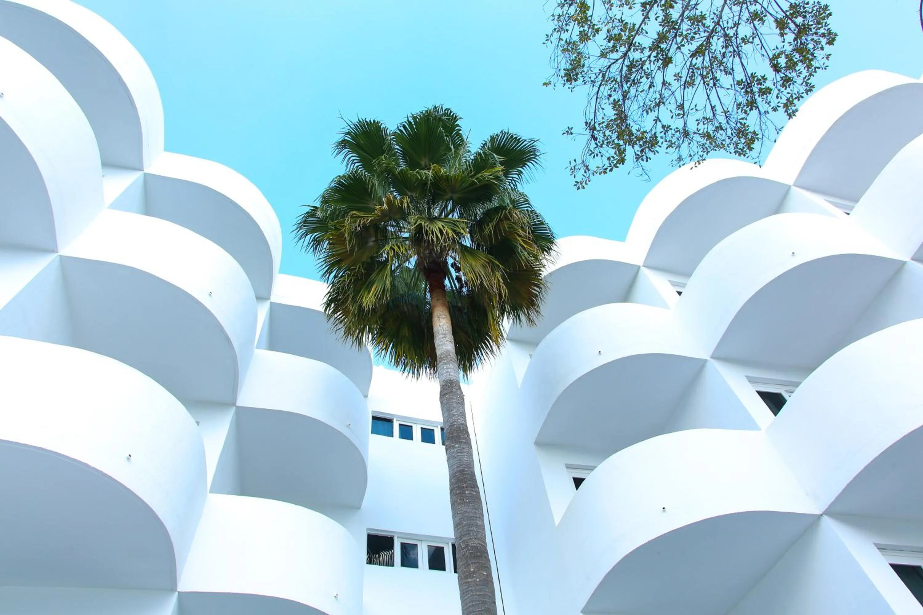 Property building in Sentido Fido Tucan - Adults Only