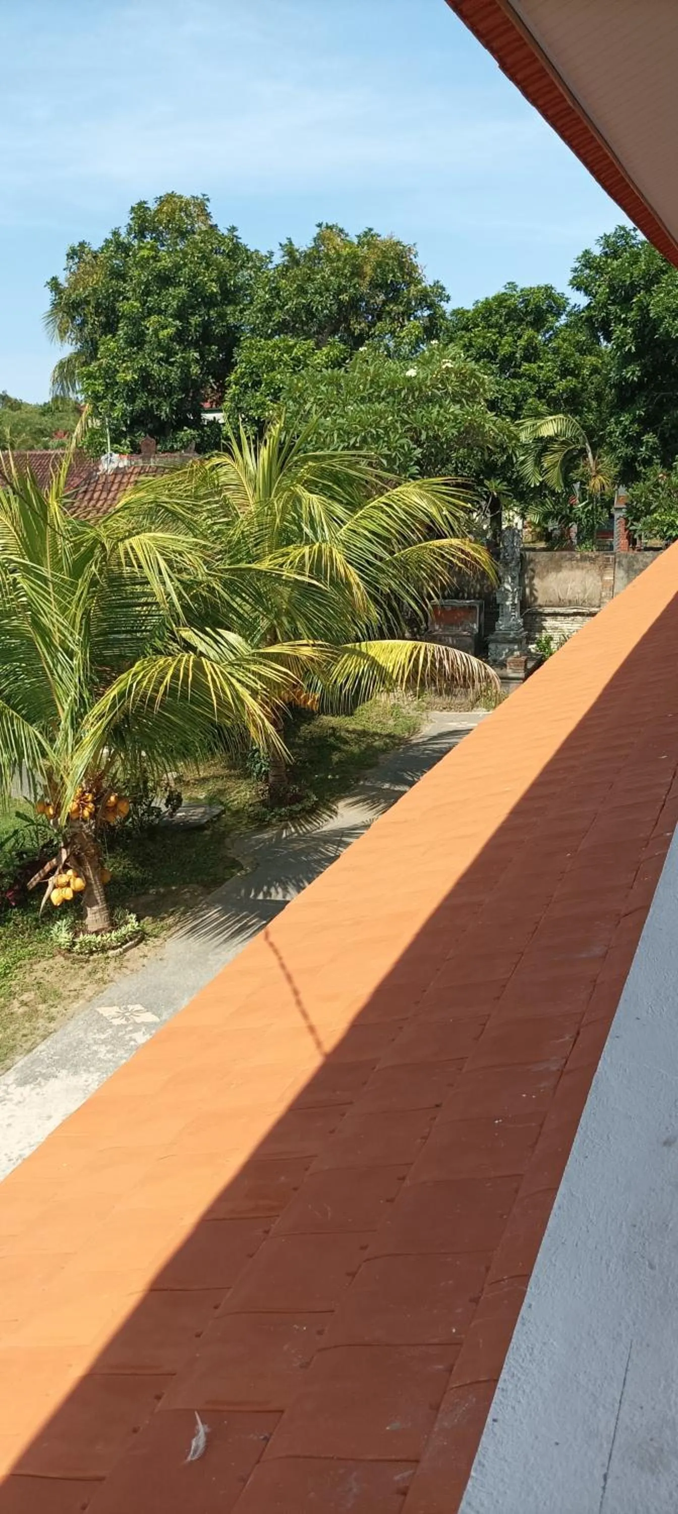 Garden in Hotel My New Lovina