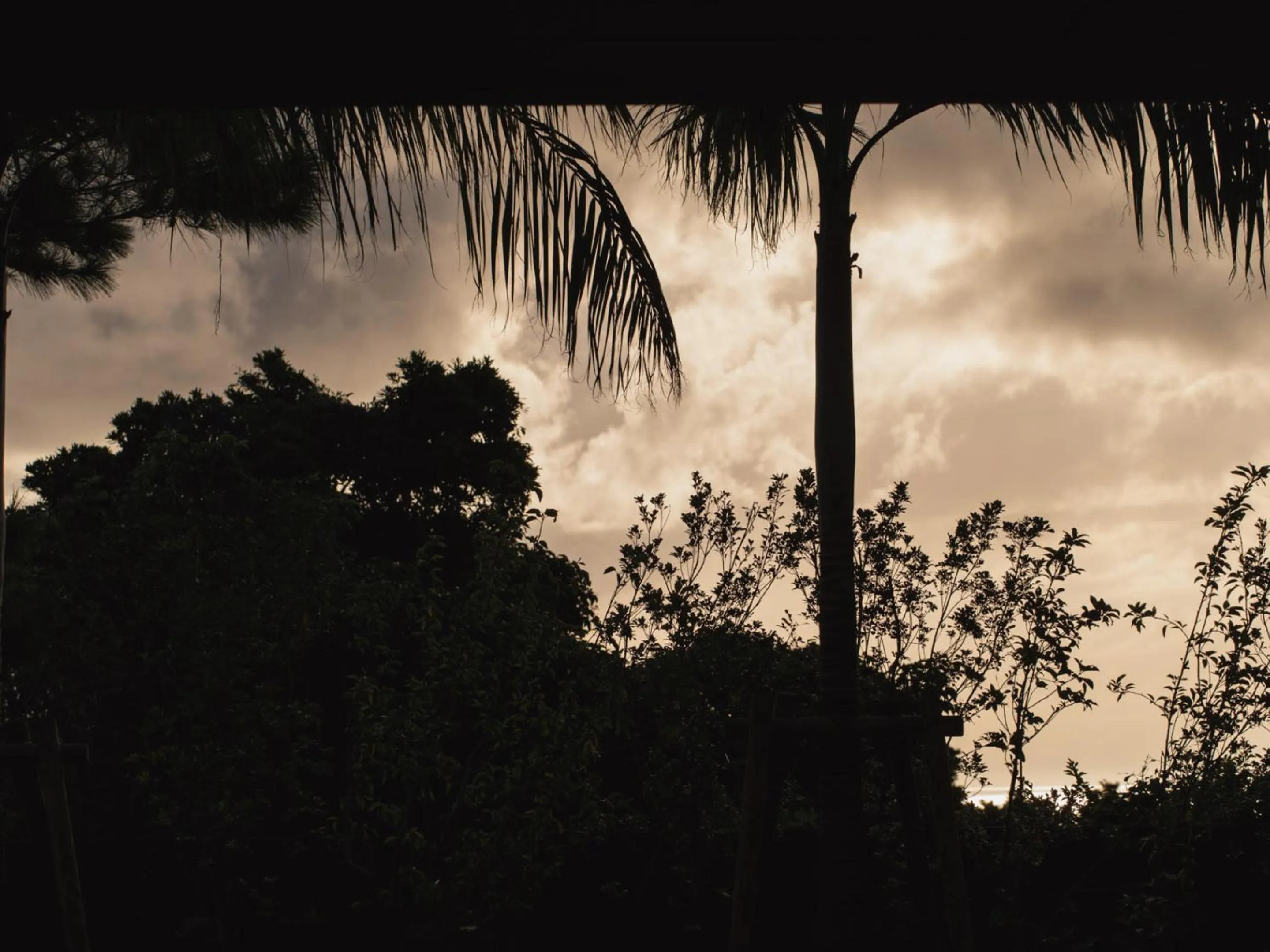 Photo of the whole room in Bosco Yomitan Resort Condminium