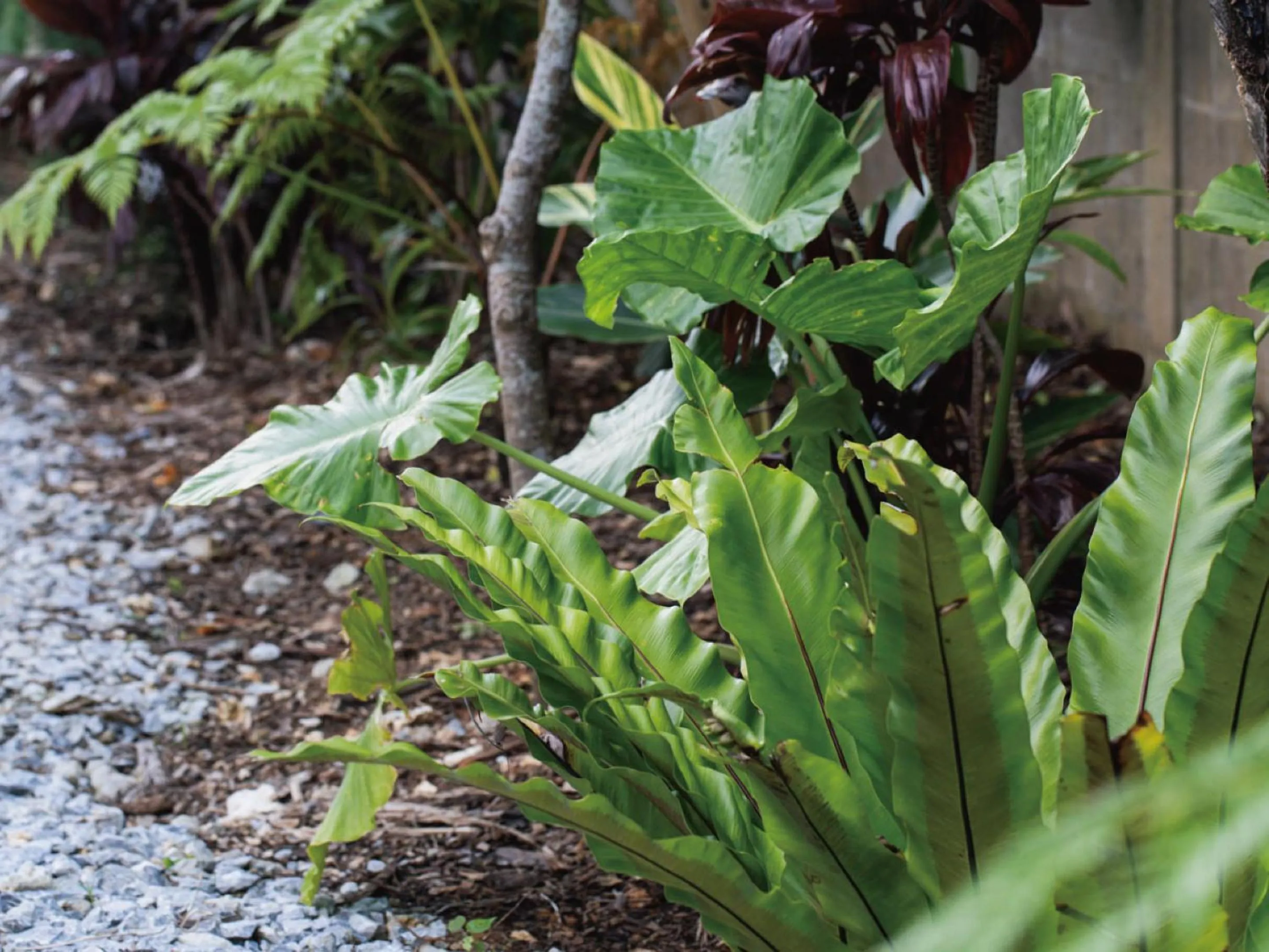 Photo of the whole room in Bosco Yomitan Resort Condminium