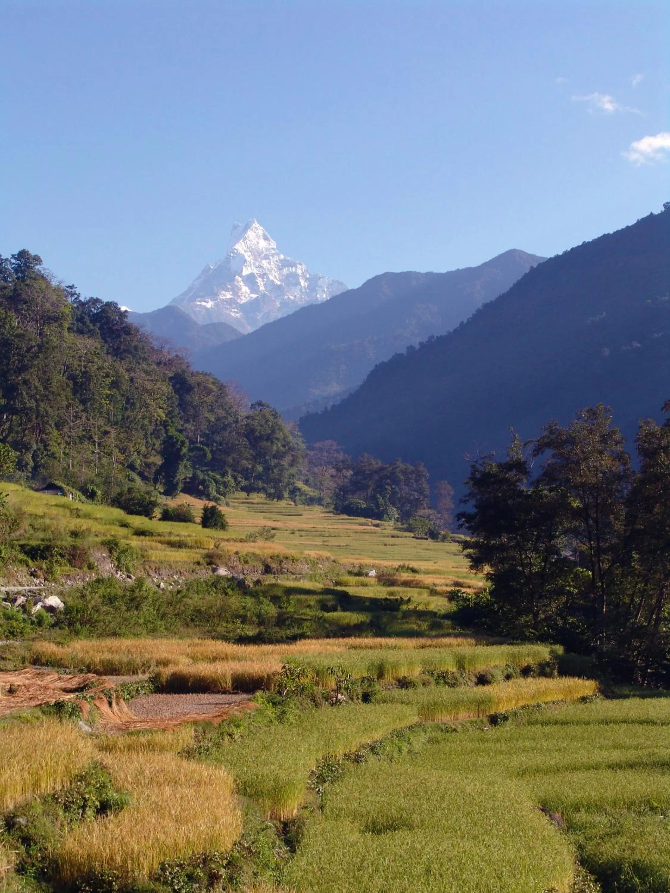 Mountain Lodges of Nepal - Birethanti