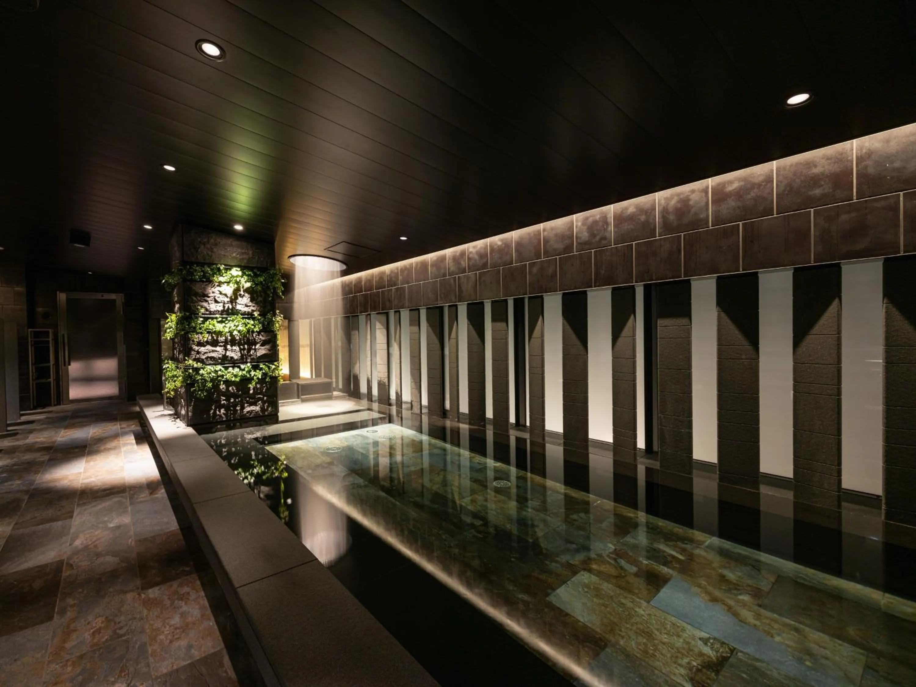 Public Bath in The Royal Park Canvas Fukuoka Nakasu