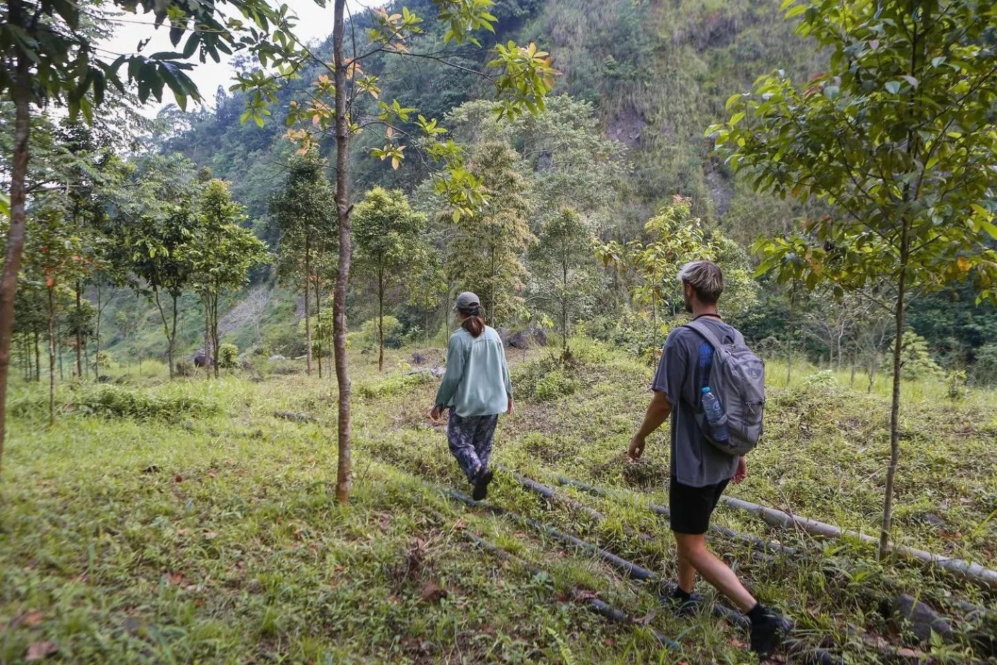 Activities in Rumah Kalpataru