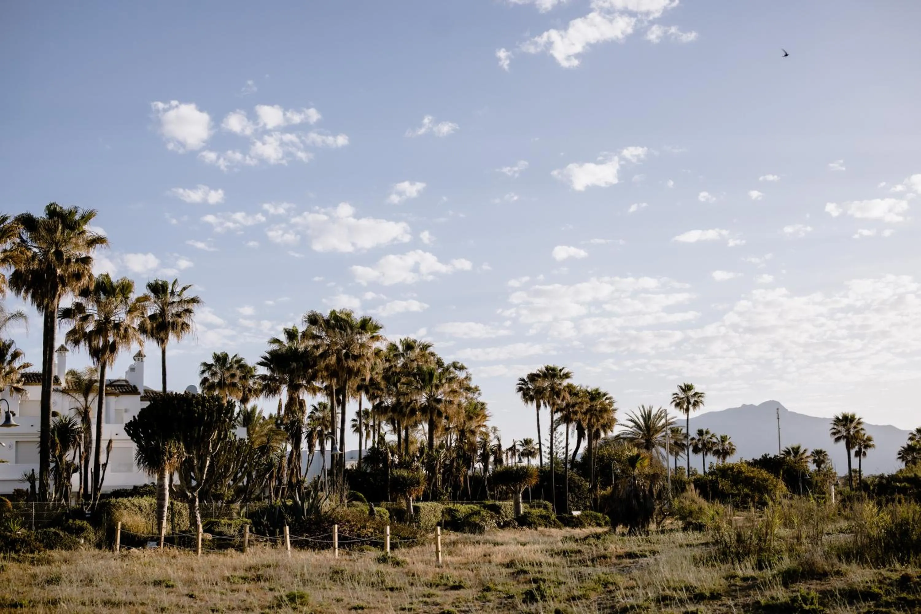 Natural landscape in THE FLAG HOTEL Marbella, Estepona Adult Recommended